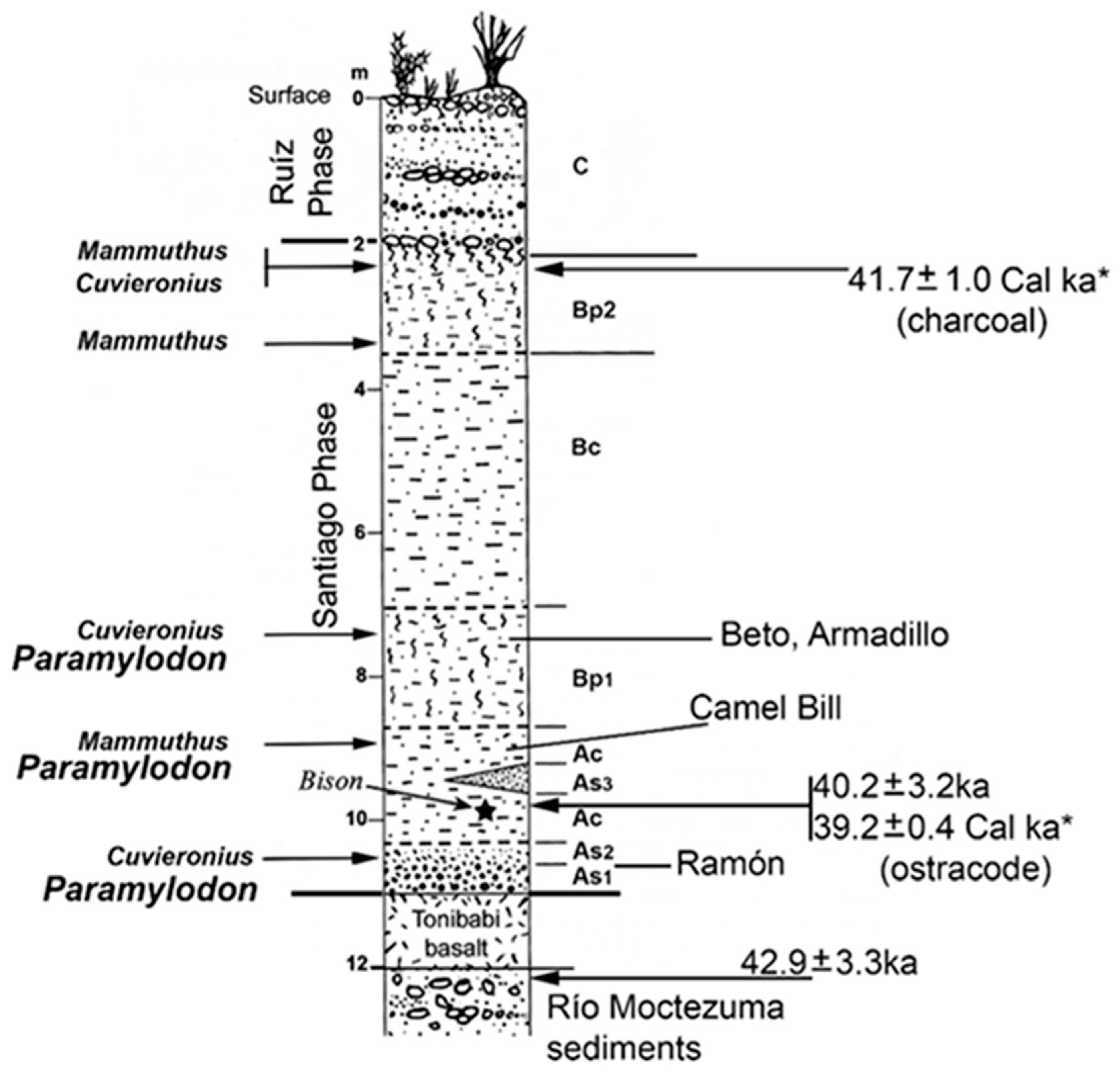 Quaternary 06 00031 g002