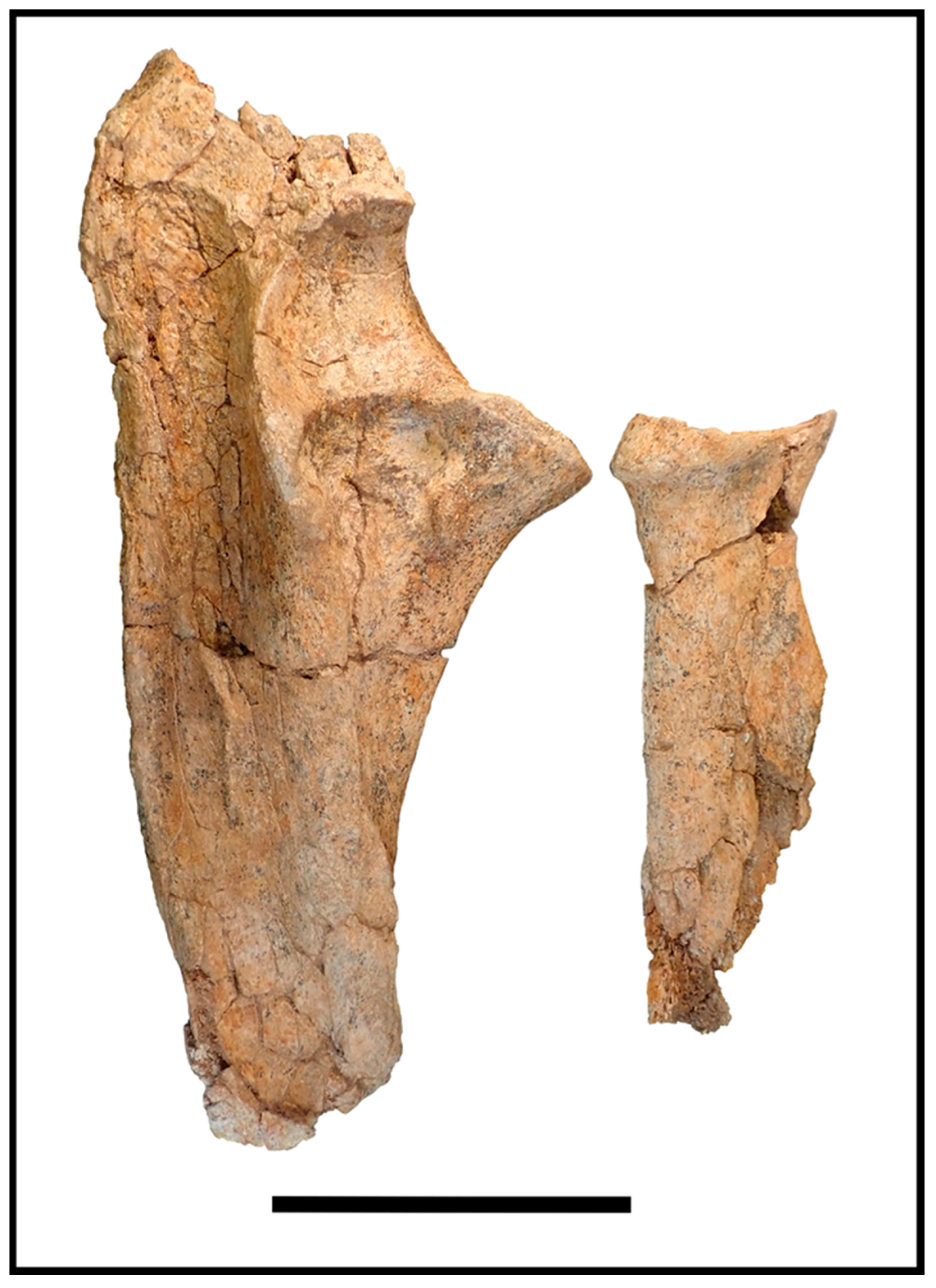 Quaternary 06 00031 g003