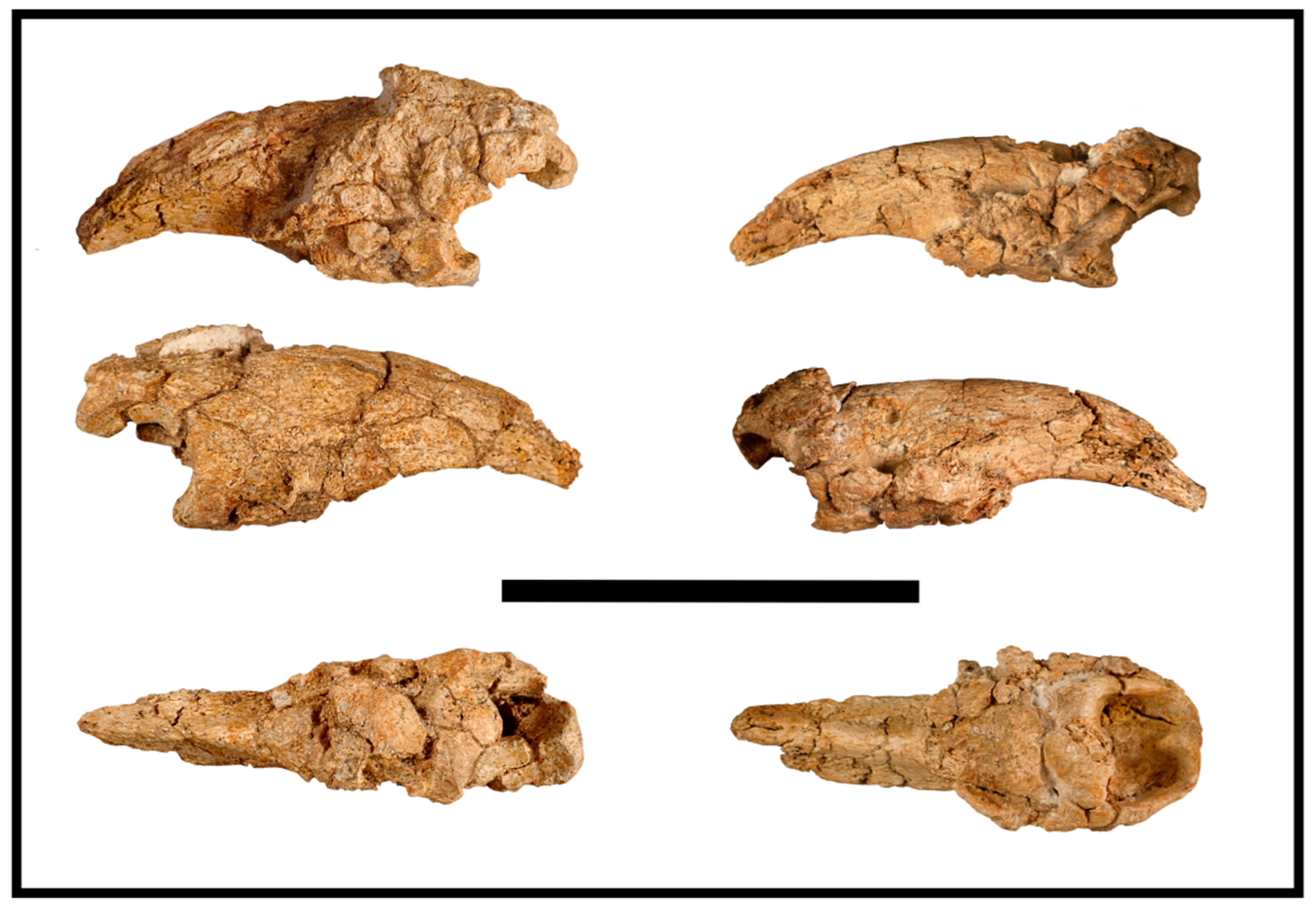 Quaternary 06 00031 g006