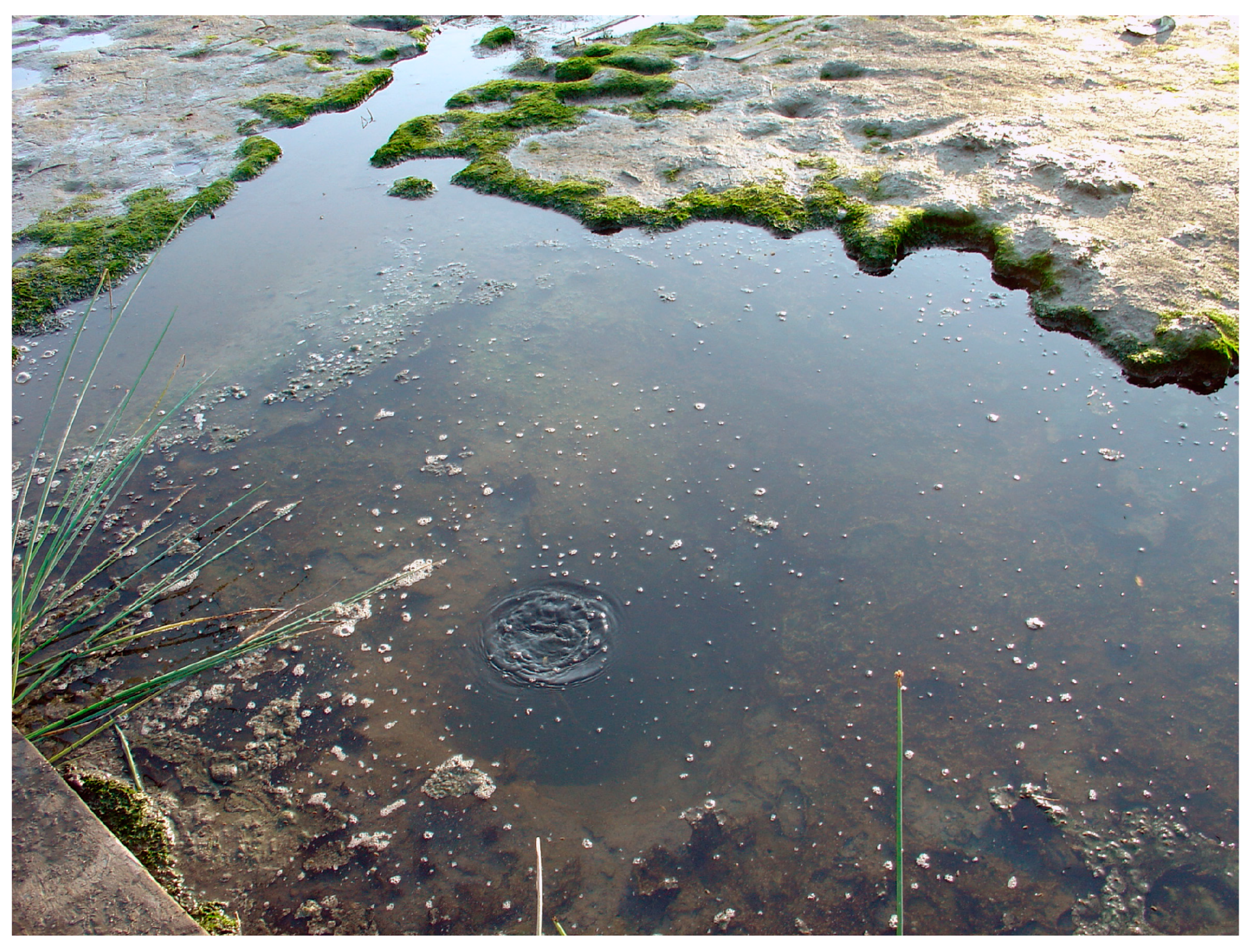 Quaternary 06 00049 g004