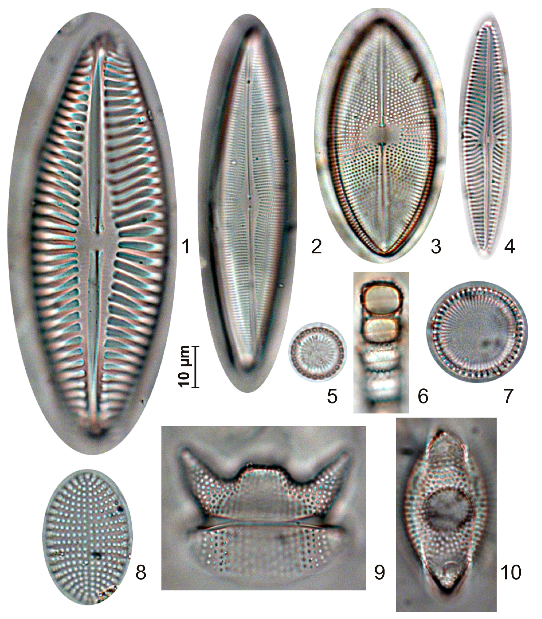 Quaternary 06 00049 g008