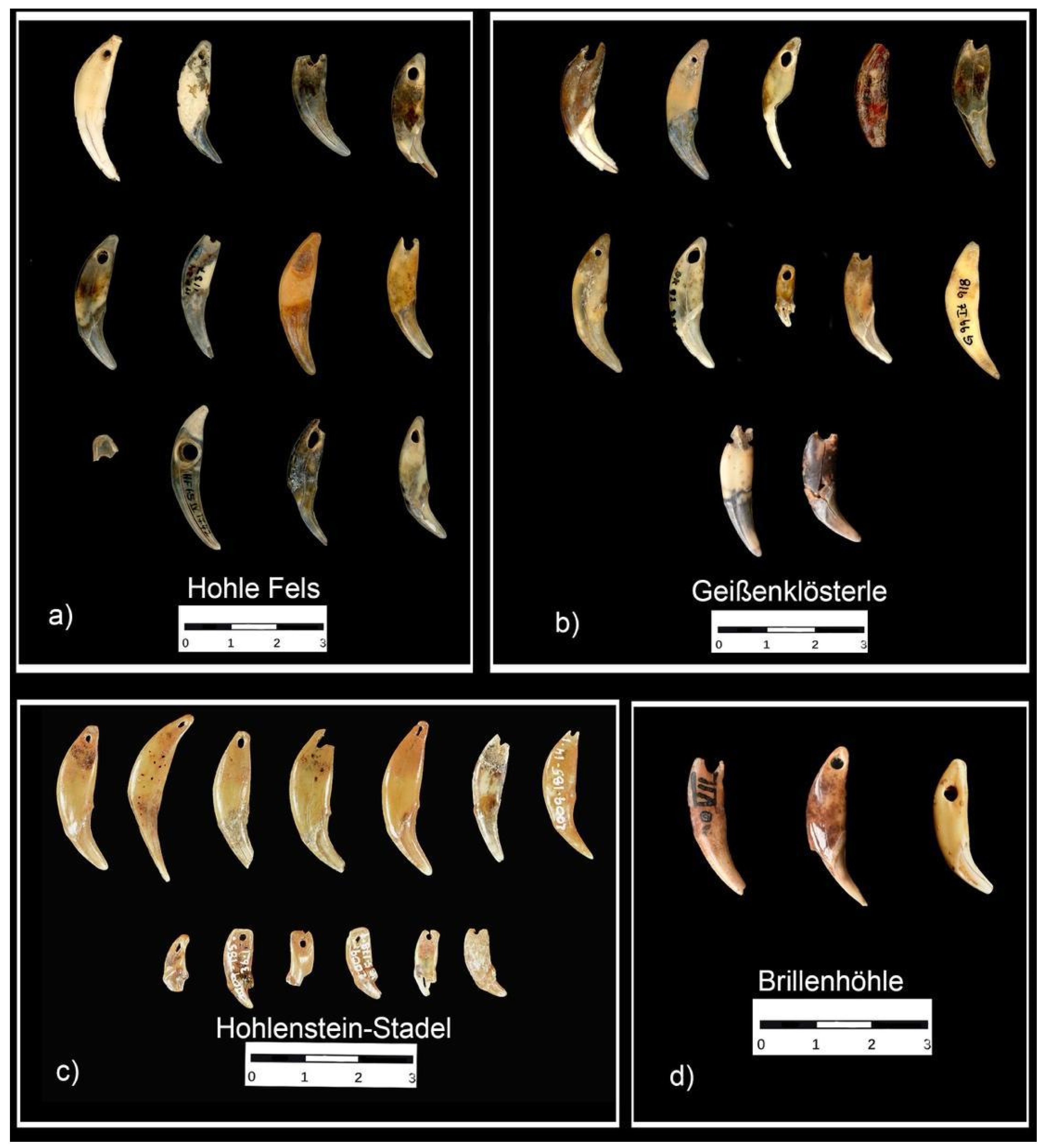 Quaternary 06 00050 g001 Quaternary 06 00050 g001