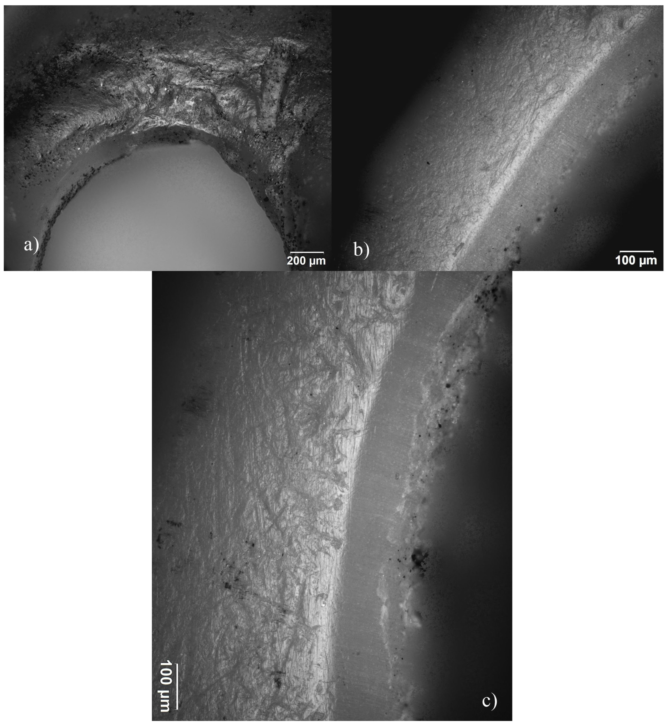 Quaternary 06 00050 g008 Quaternary 06 00050 g008