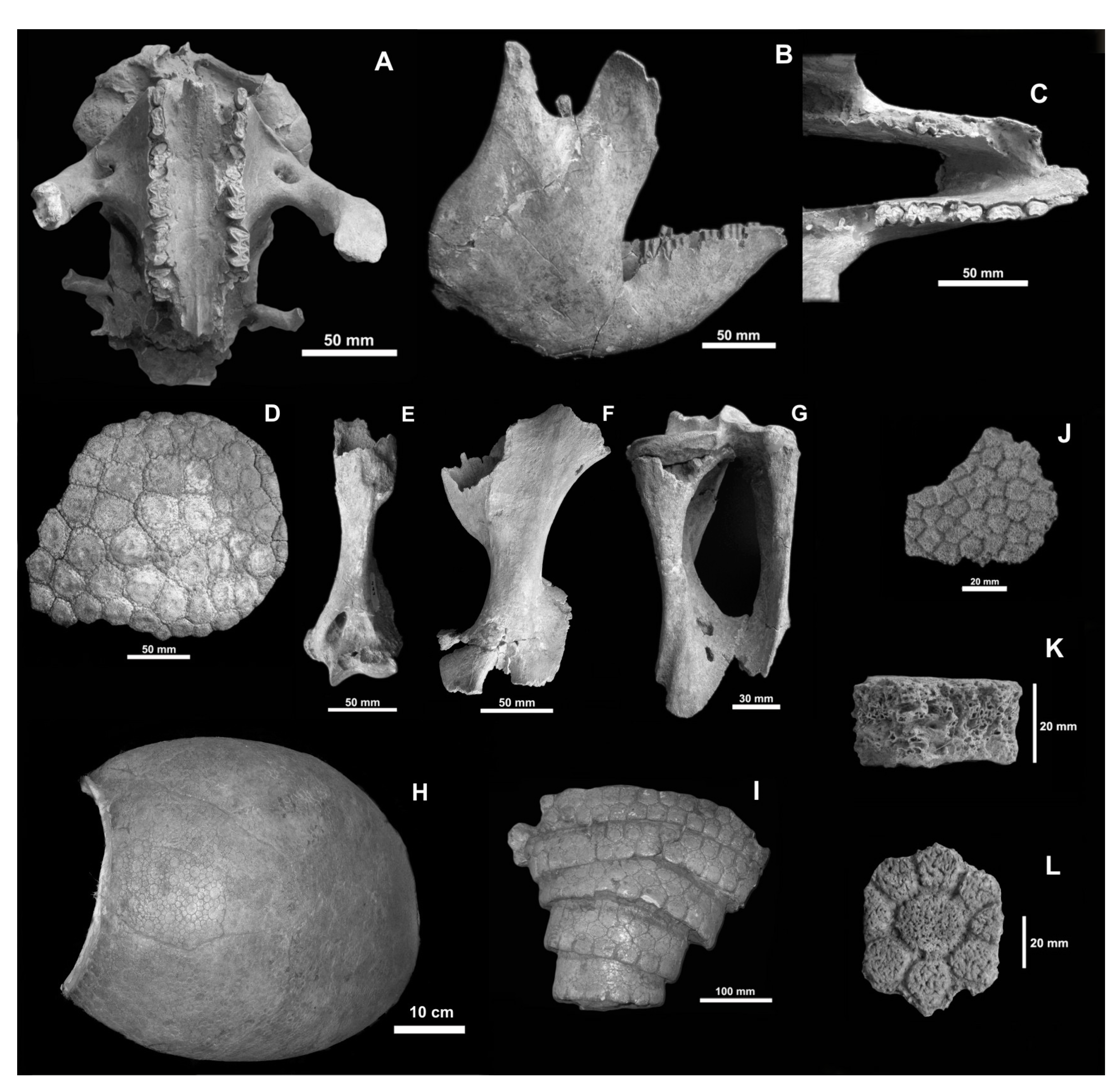 Quaternary 06 00059 g006
