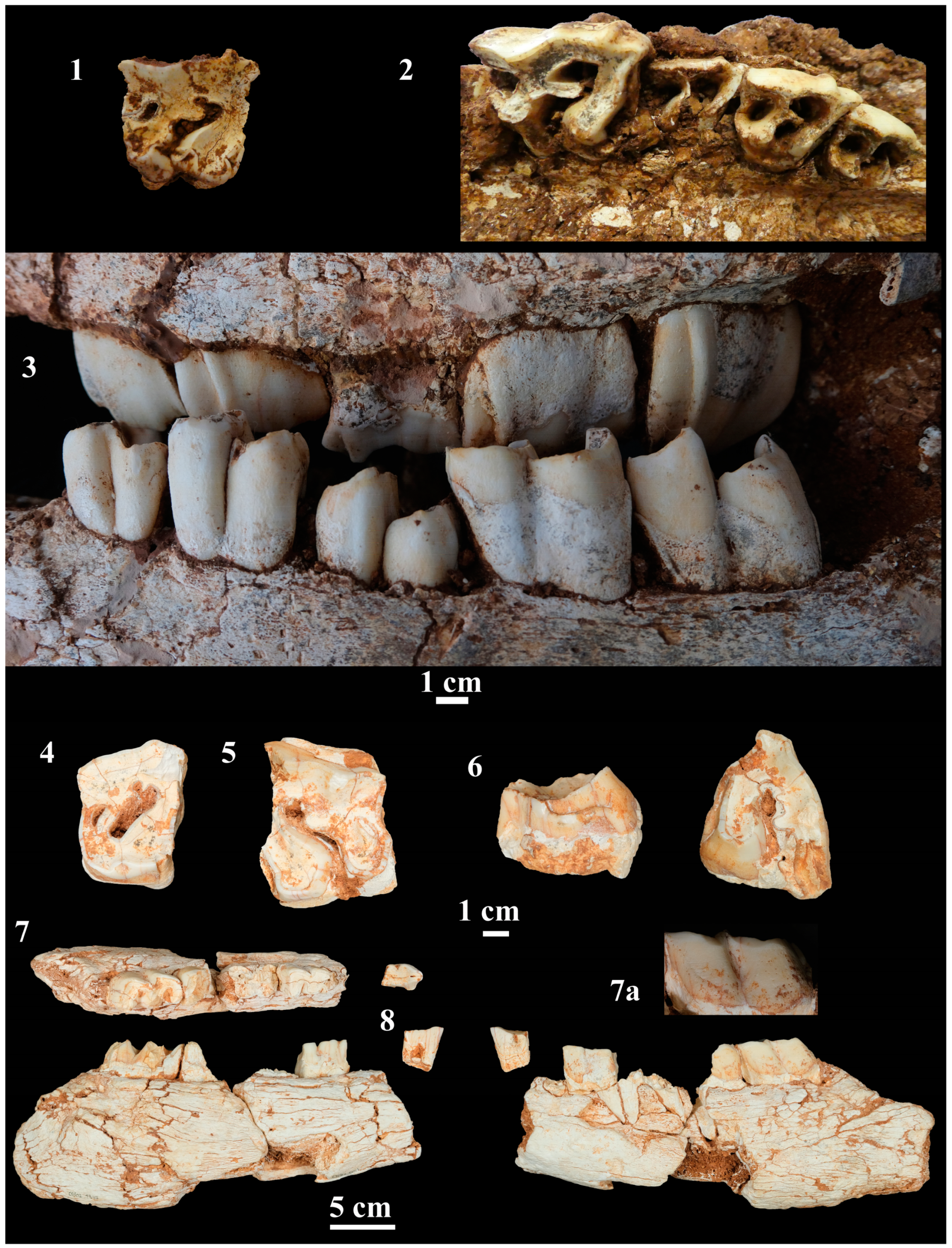 Quaternary 06 00060 g003