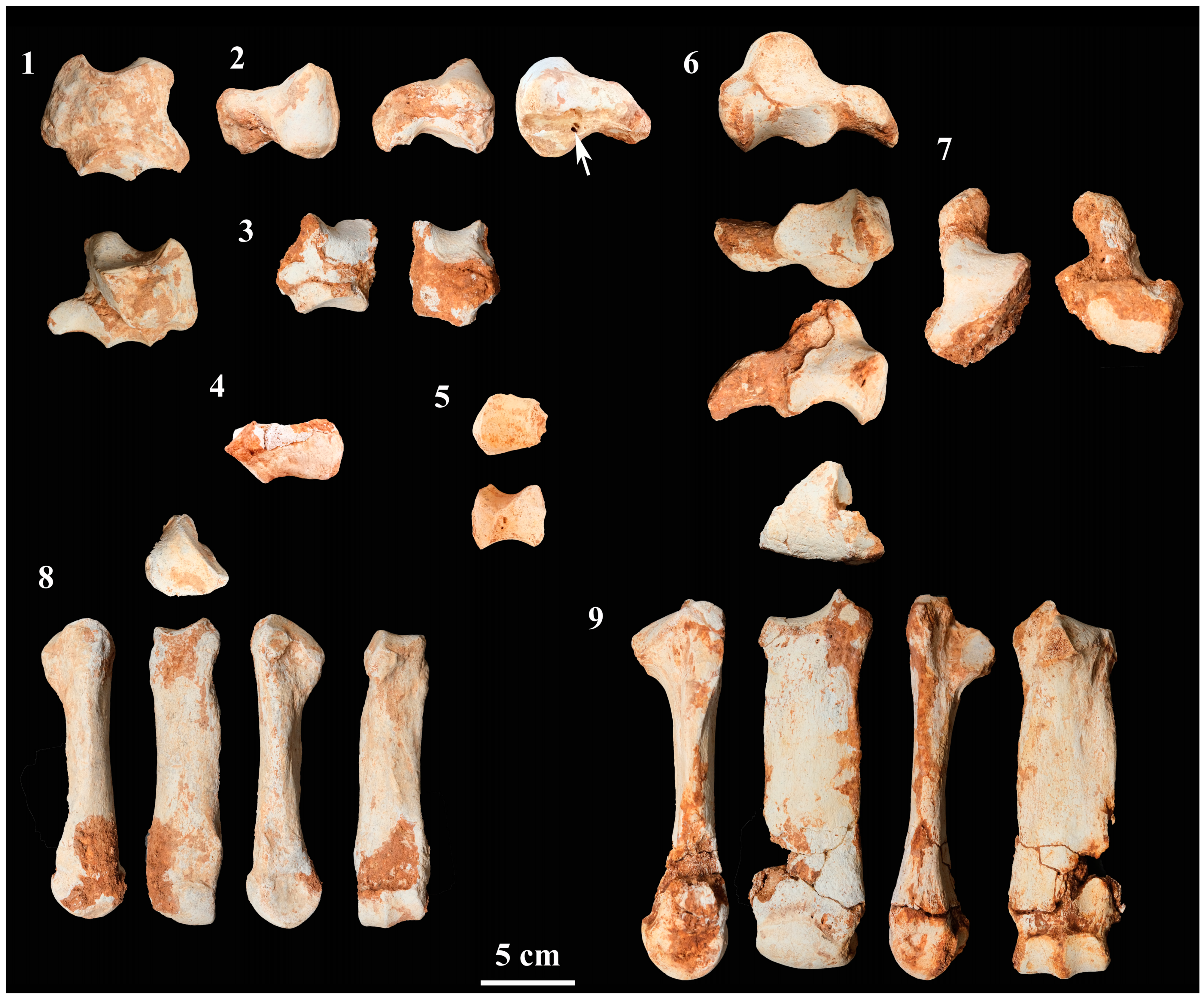 Quaternary 06 00060 g005