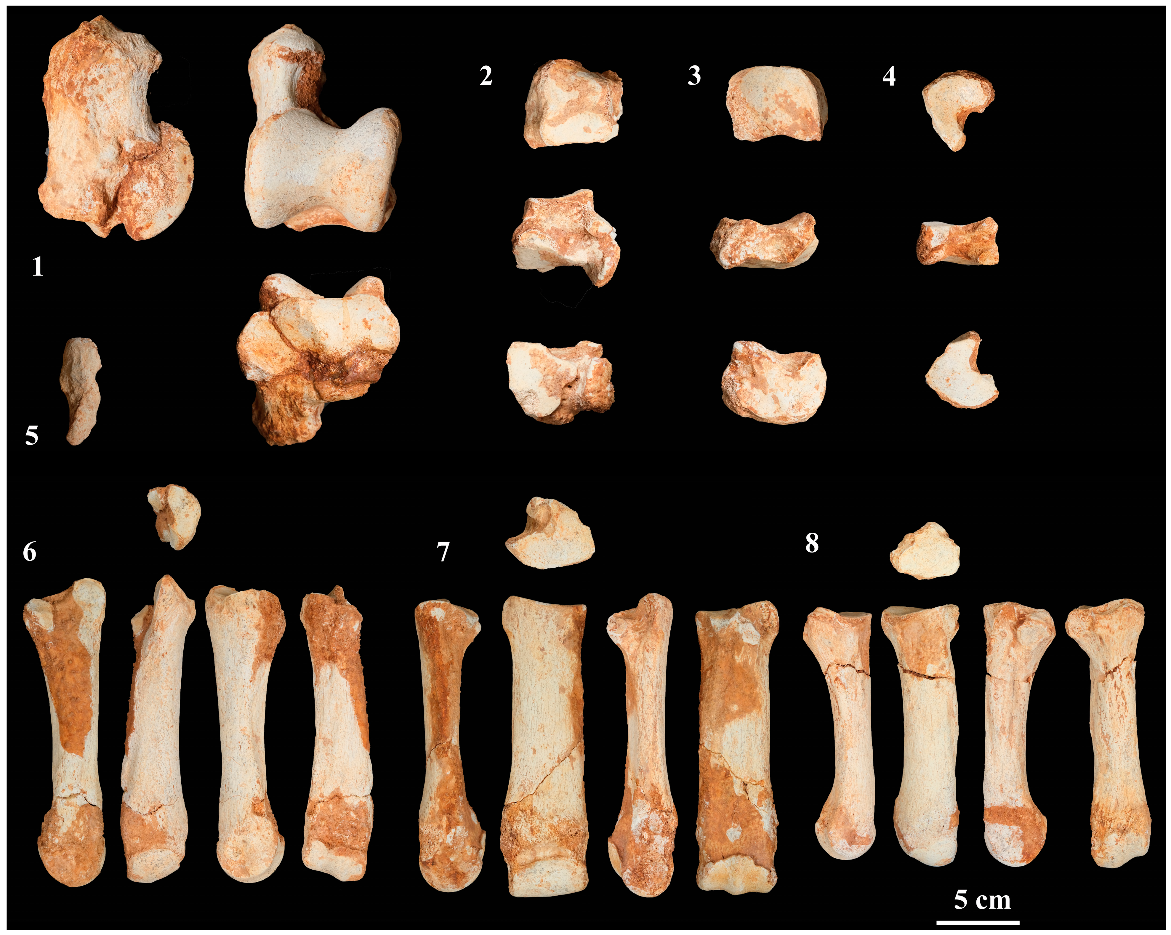 Quaternary 06 00060 g006