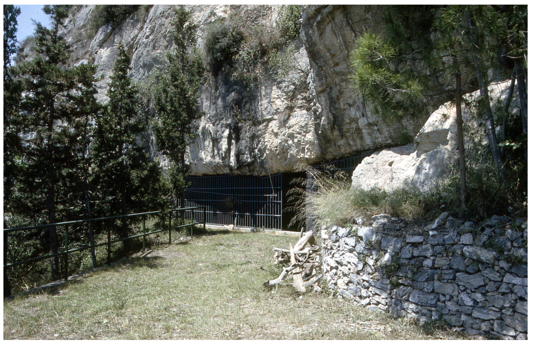 Quaternary 07 00002 g004