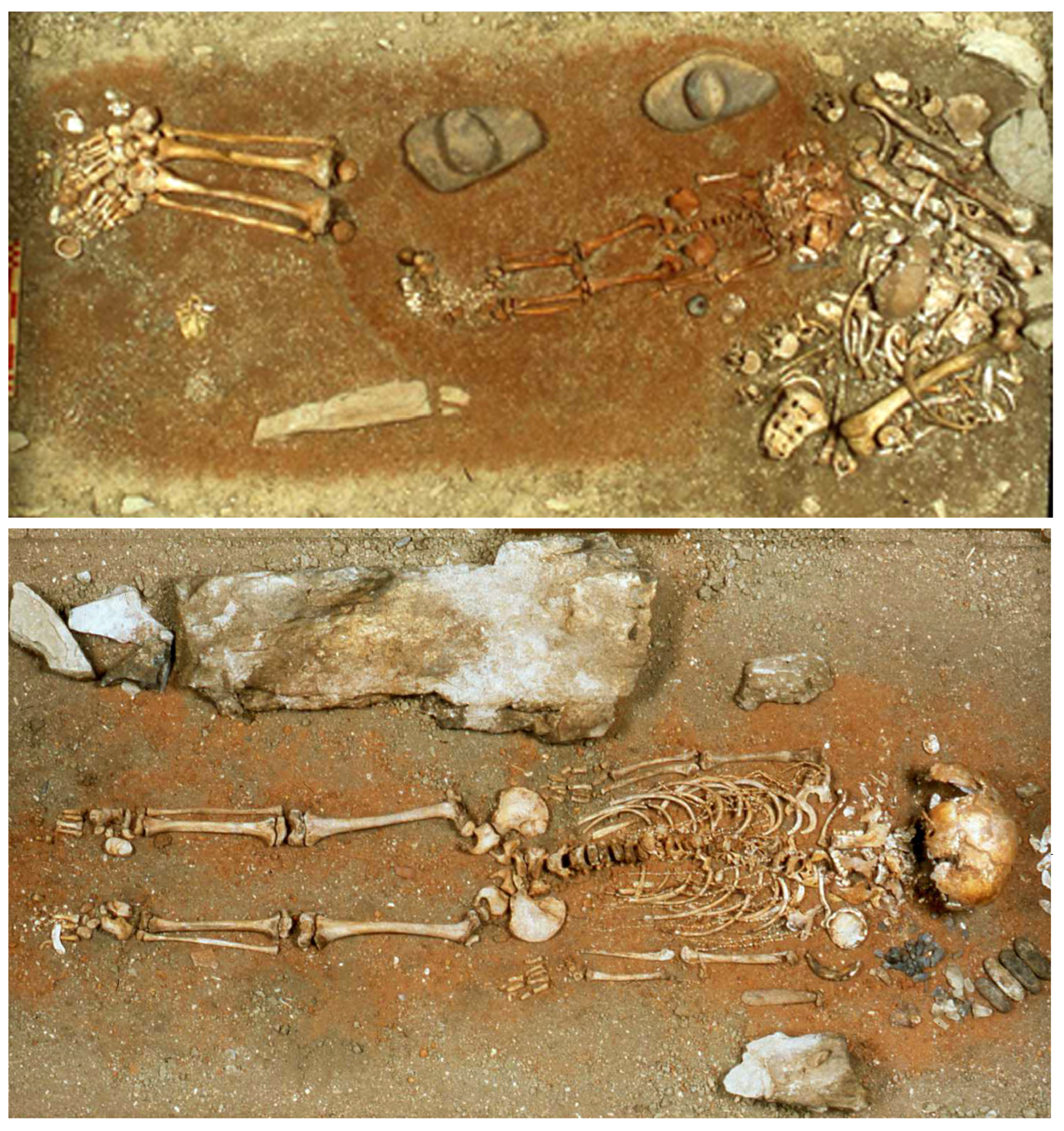 Quaternary 07 00002 g005