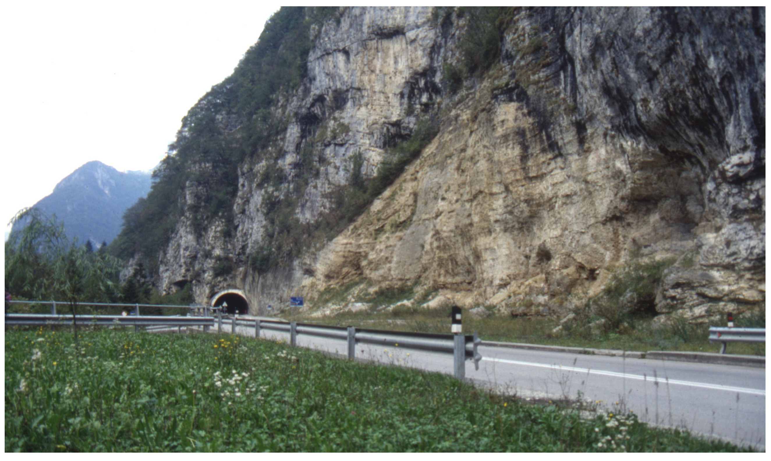 Quaternary 07 00002 g006