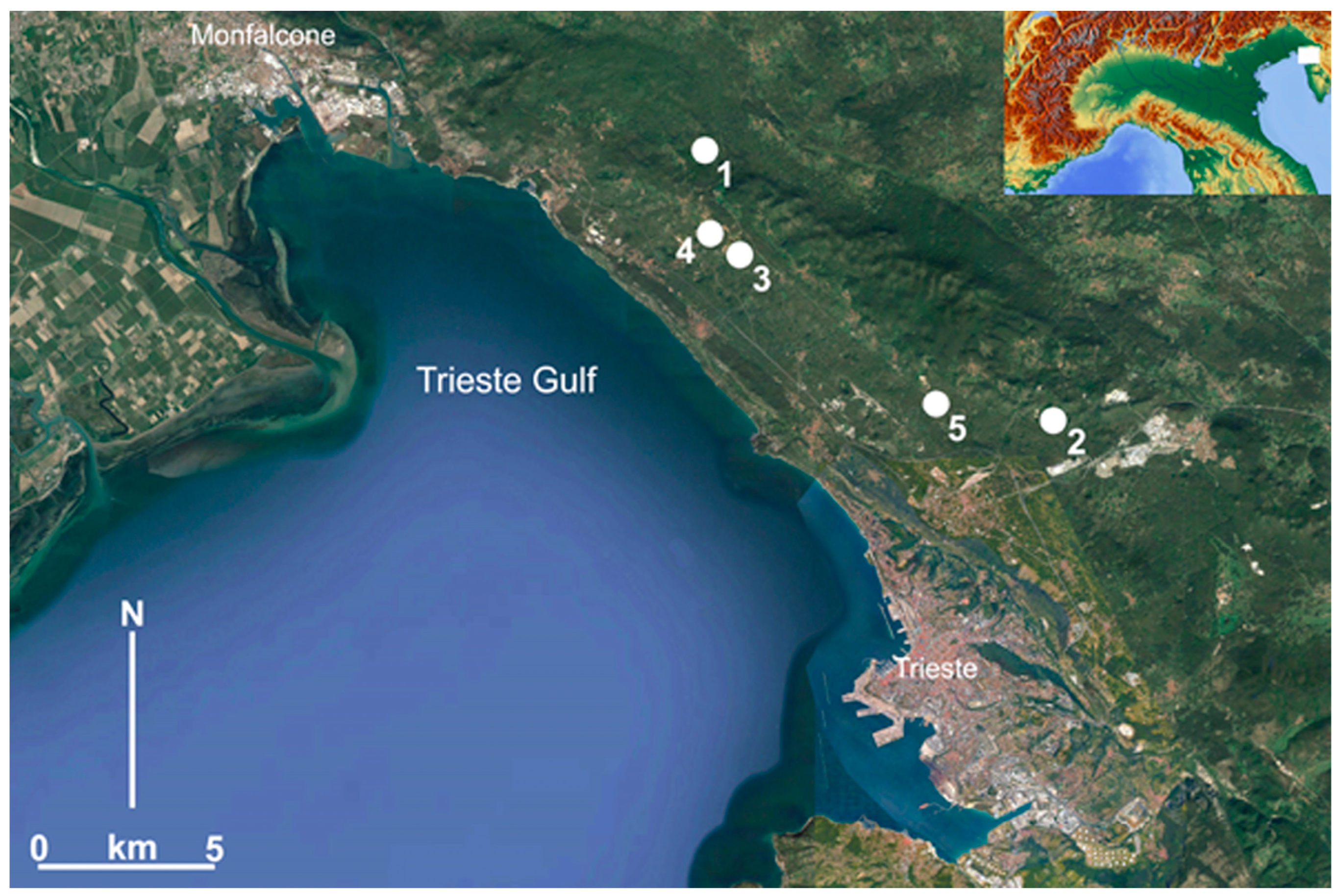 Quaternary 07 00002 g010a