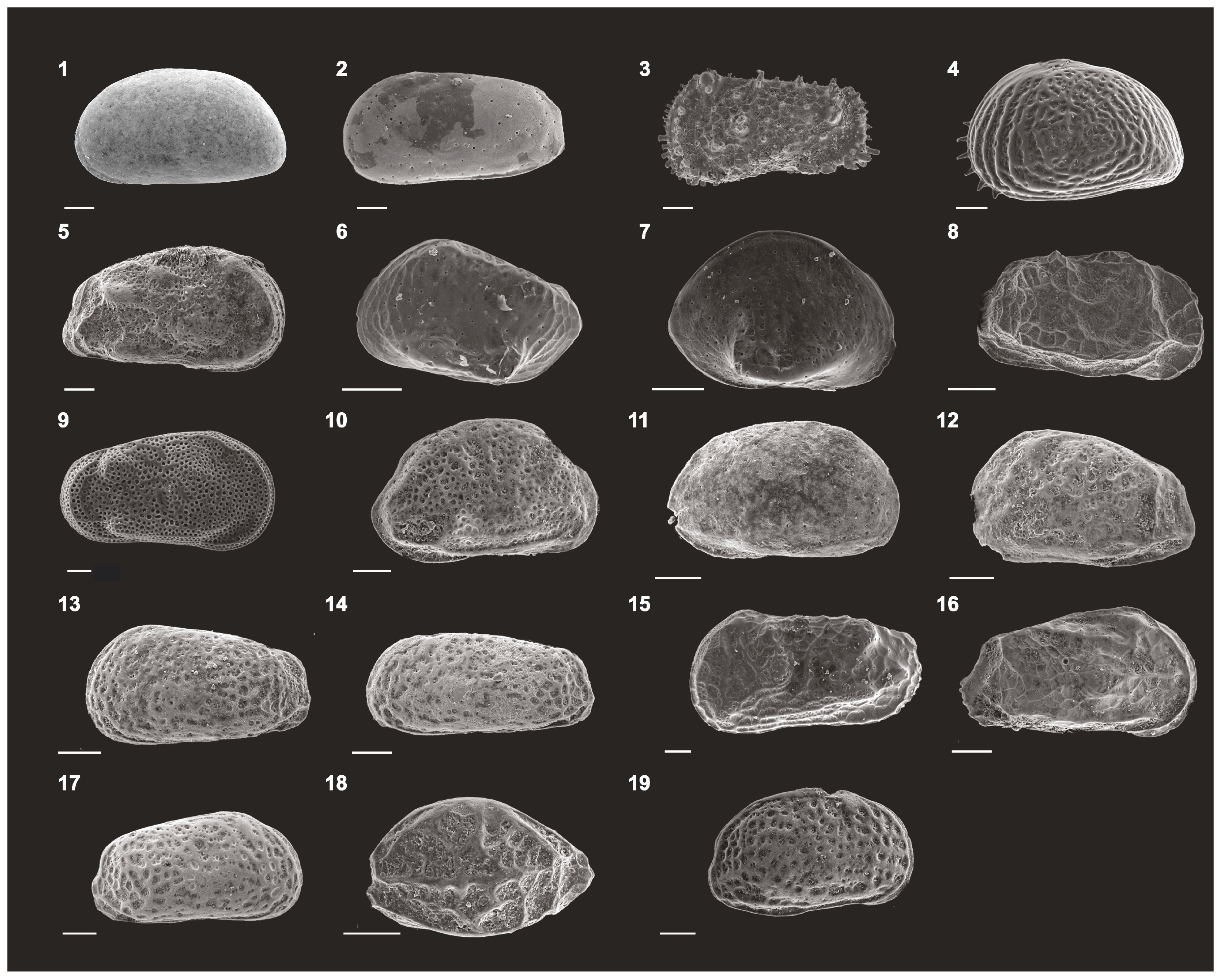 Quaternary 07 00003 g007