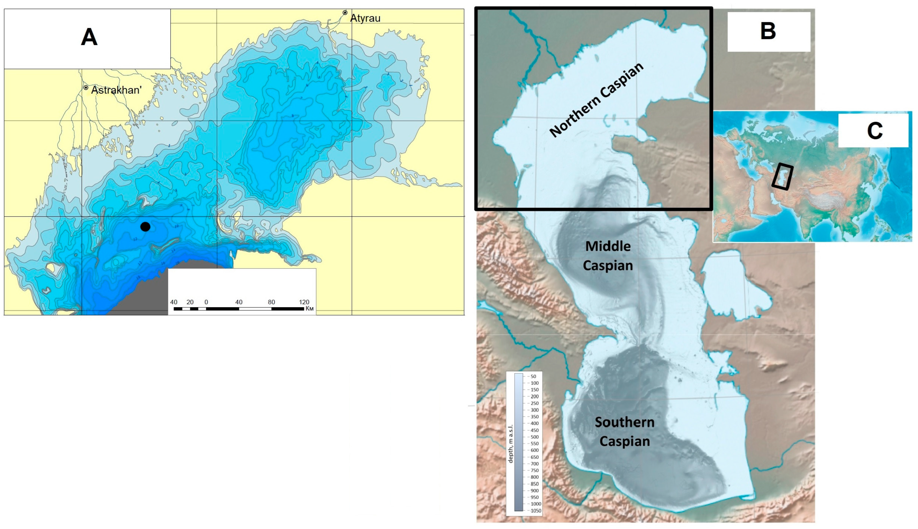 Quaternary 07 00005 g001