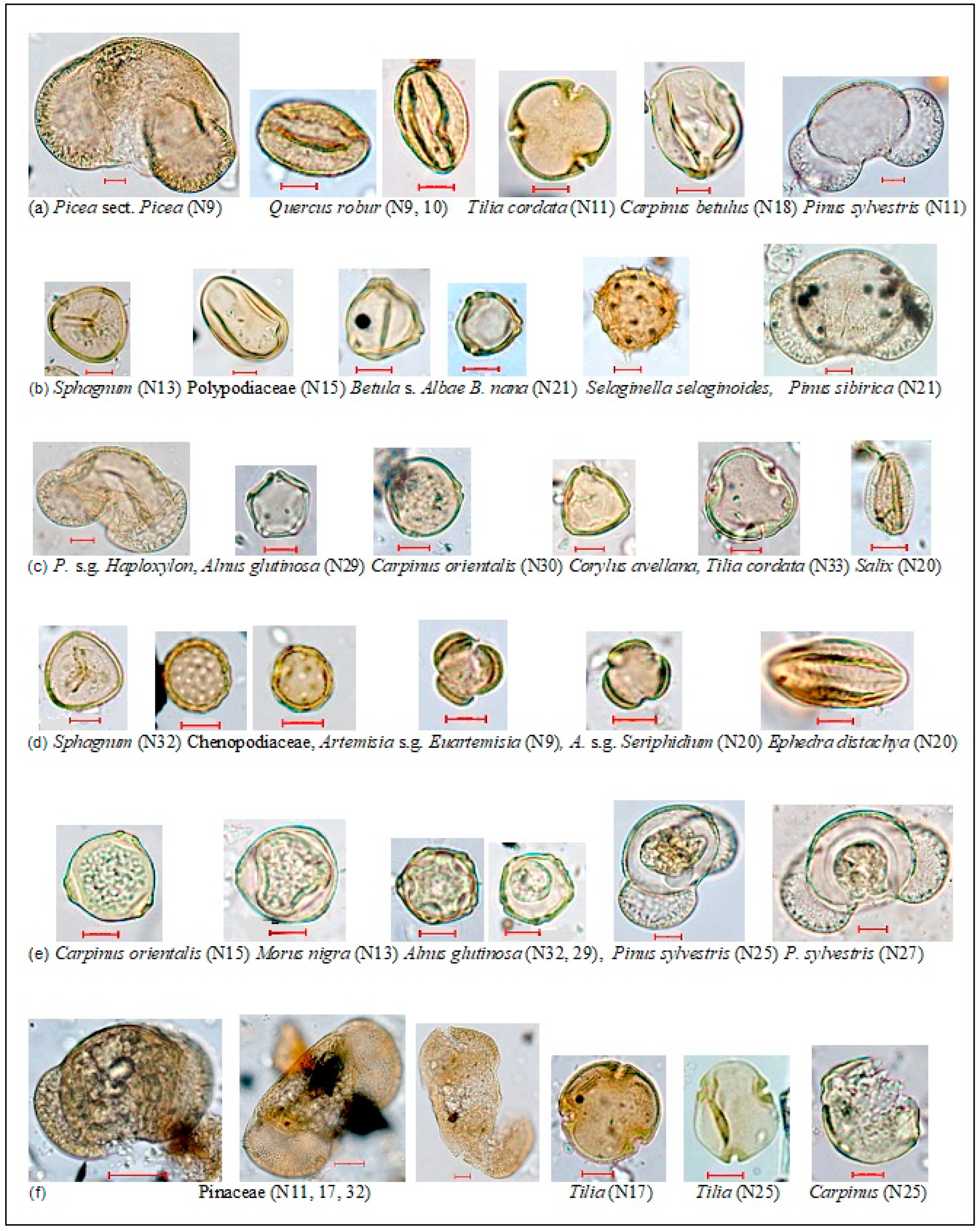 Quaternary 07 00005 g002