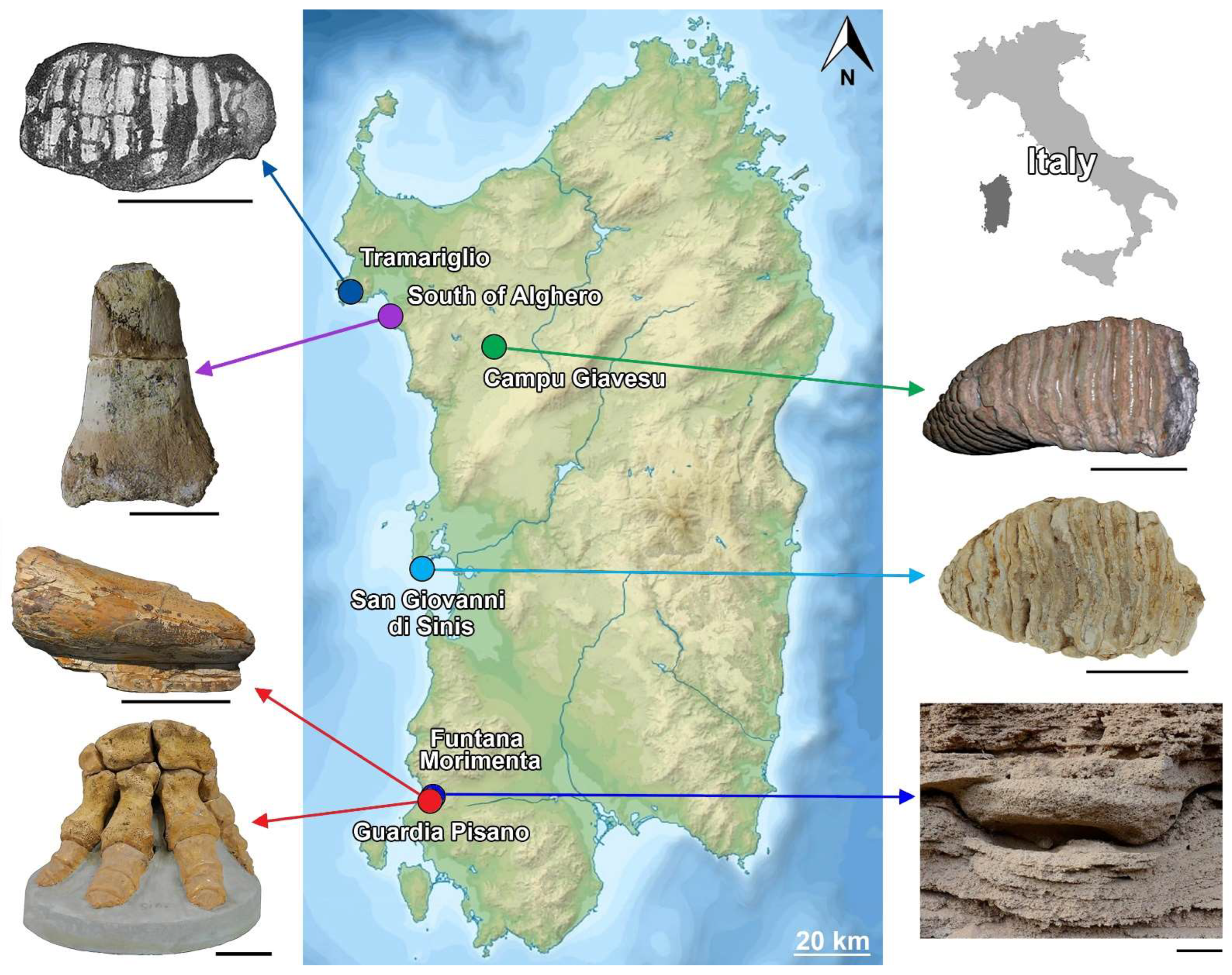 Quaternary 07 00010 g001