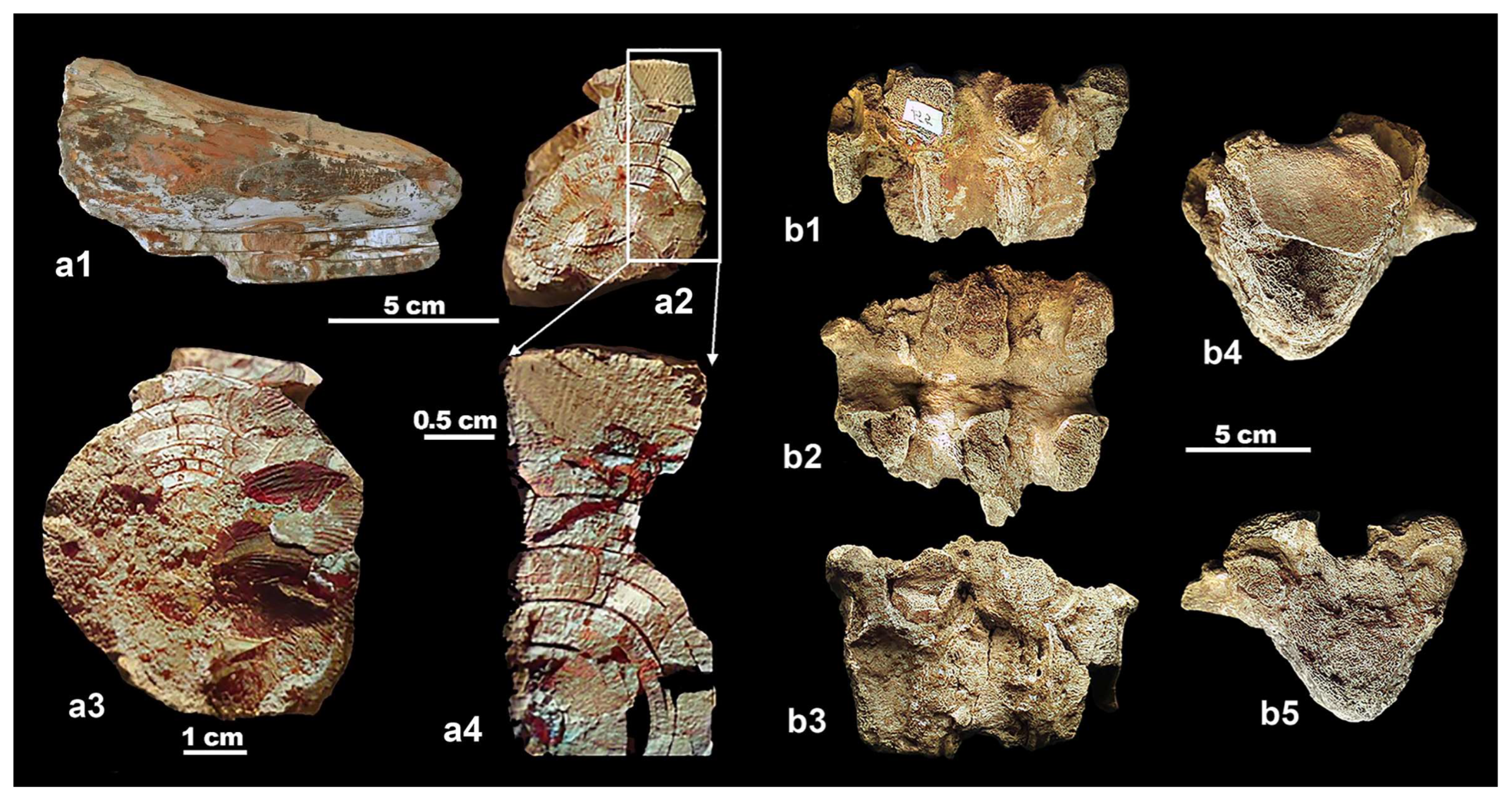 Quaternary 07 00010 g003