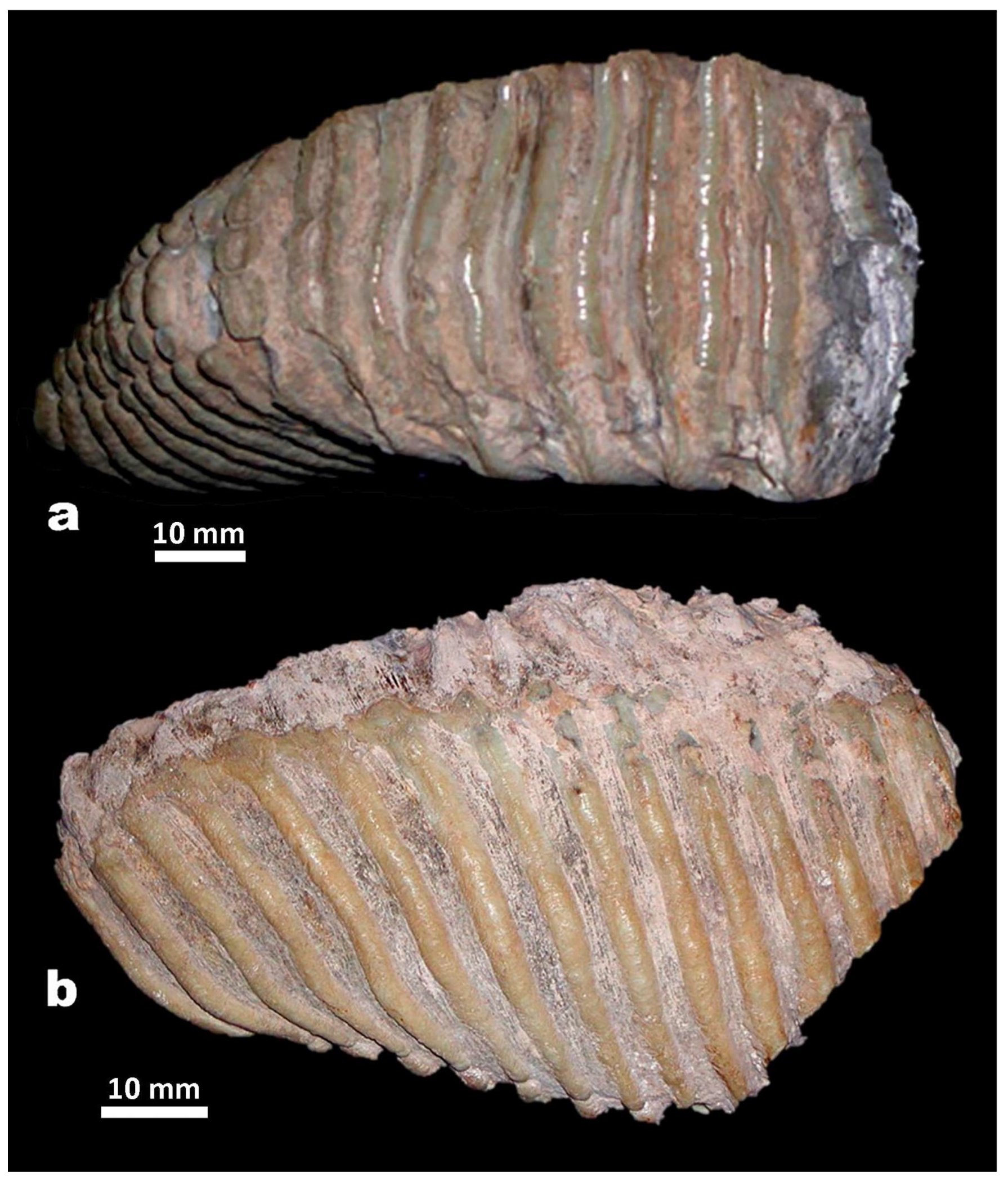 Quaternary 07 00010 g008