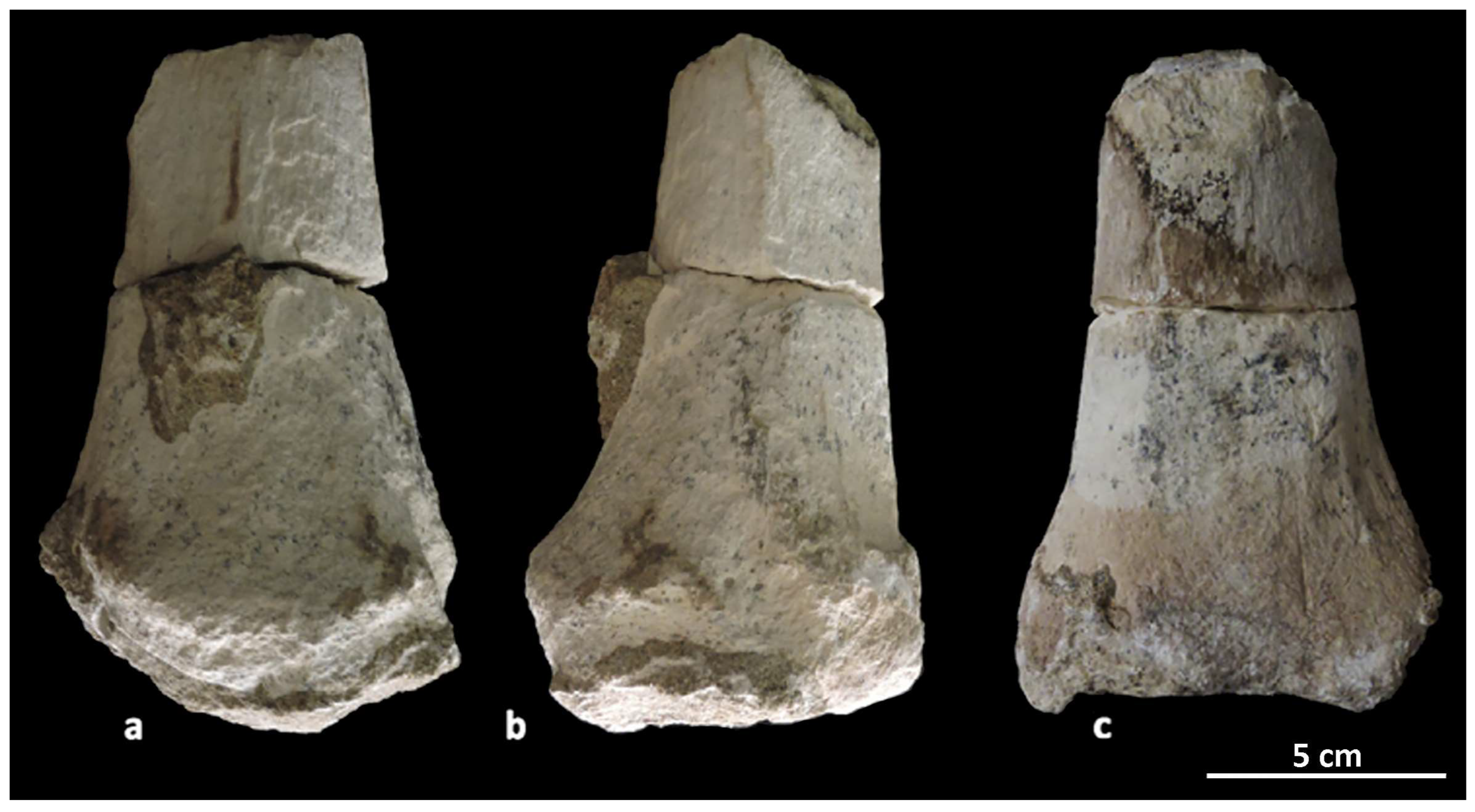 Quaternary 07 00010 g011