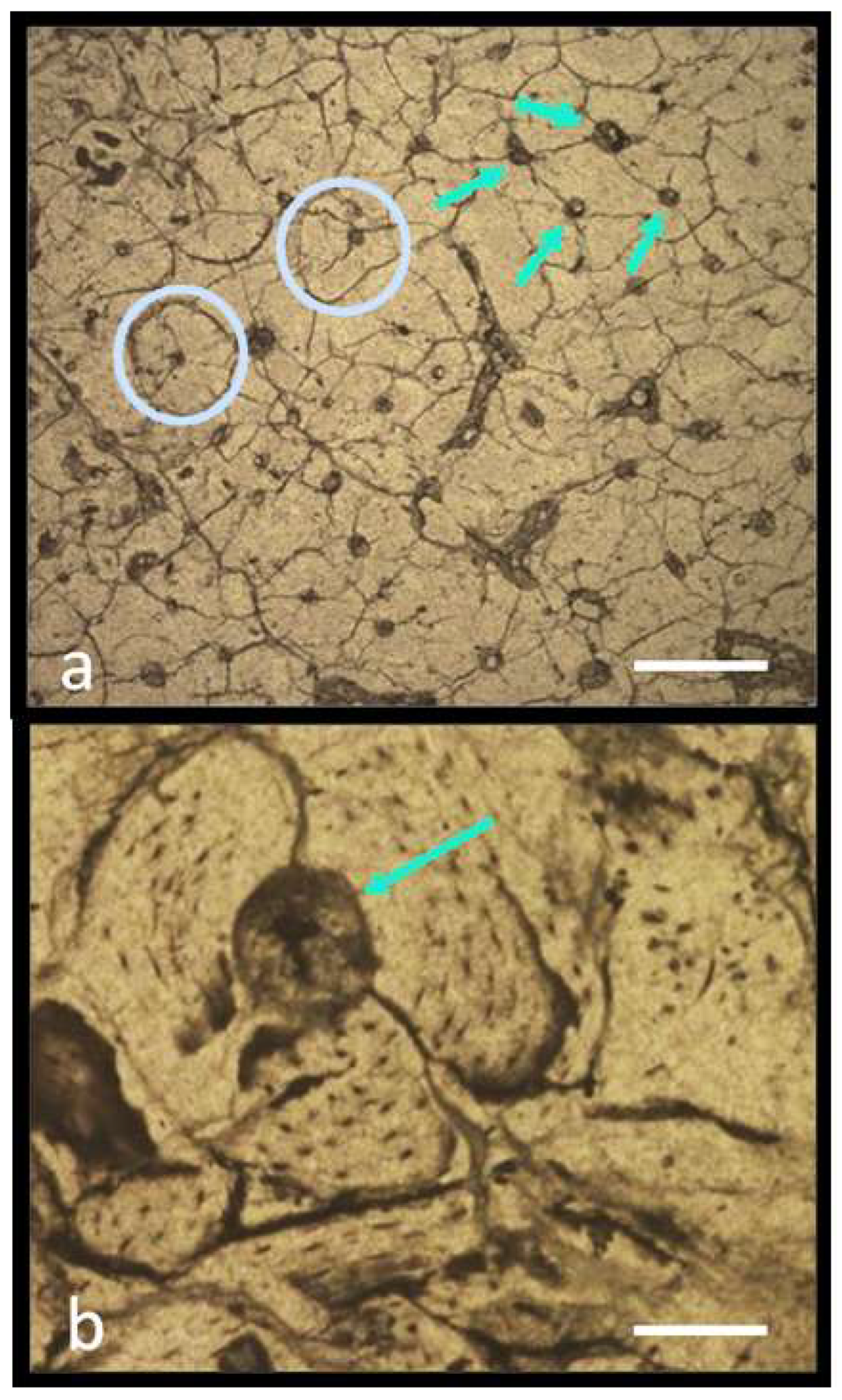 Quaternary 07 00010 g014