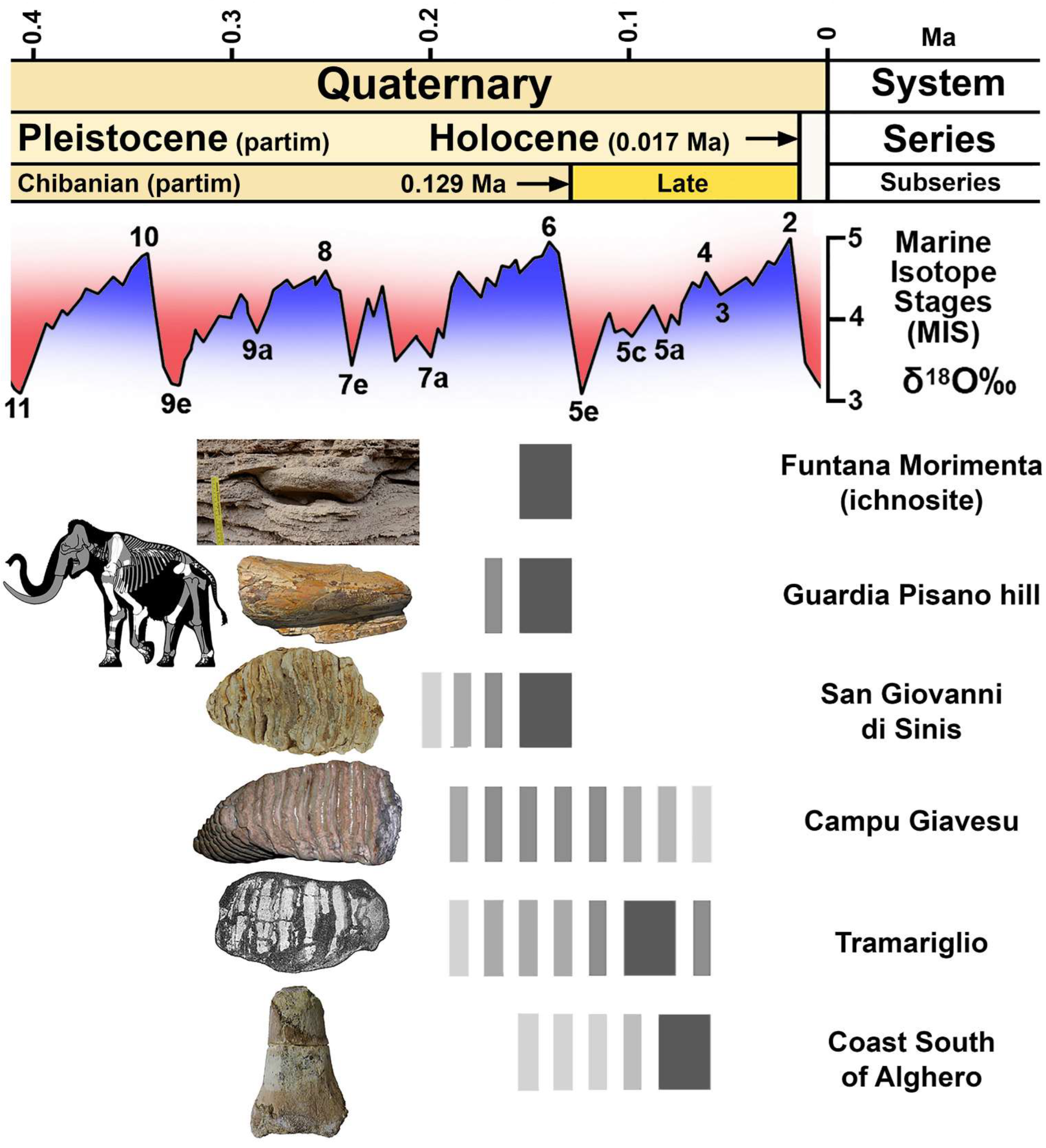 Quaternary 07 00010 g015