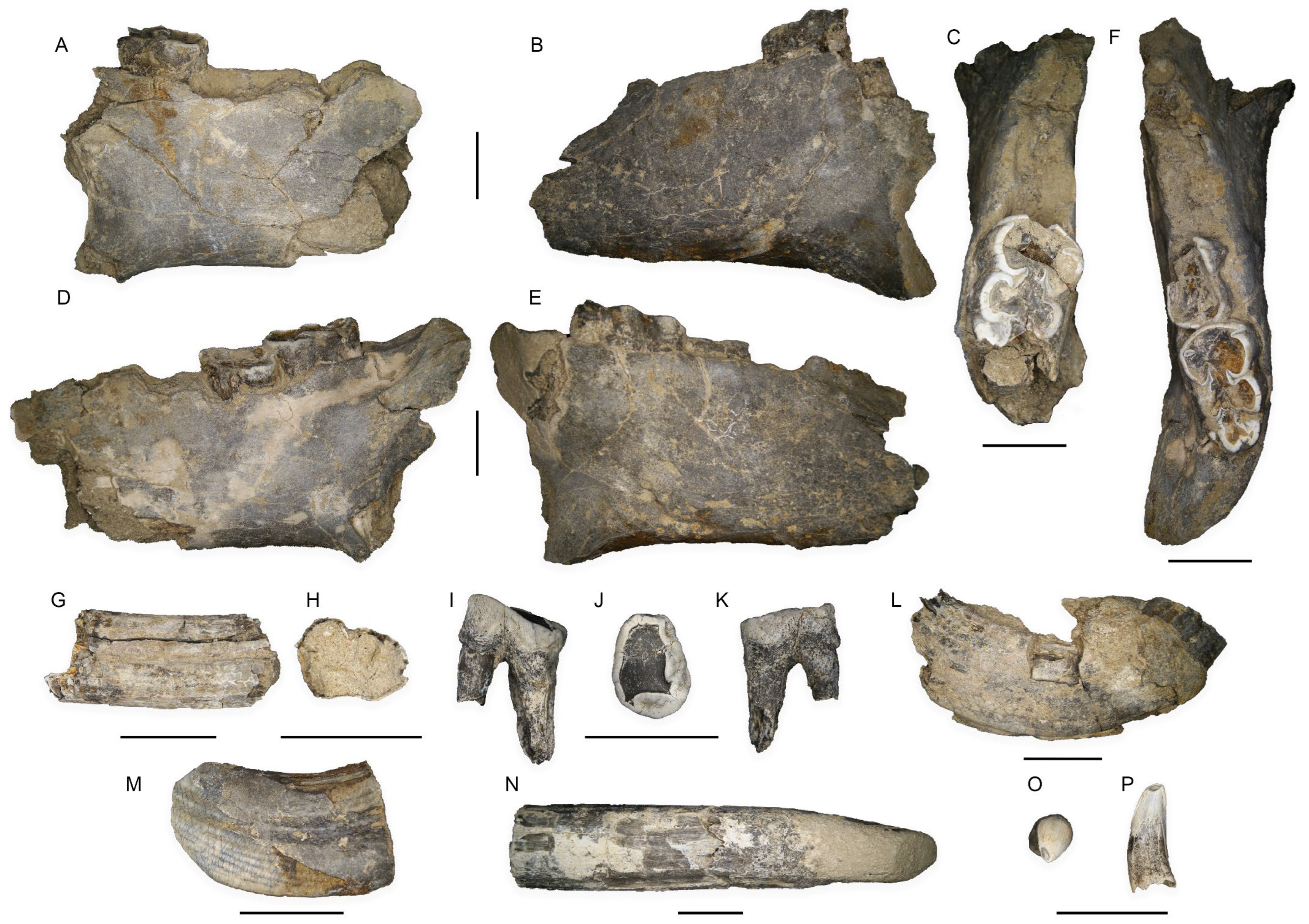 Quaternary 07 00013 g002