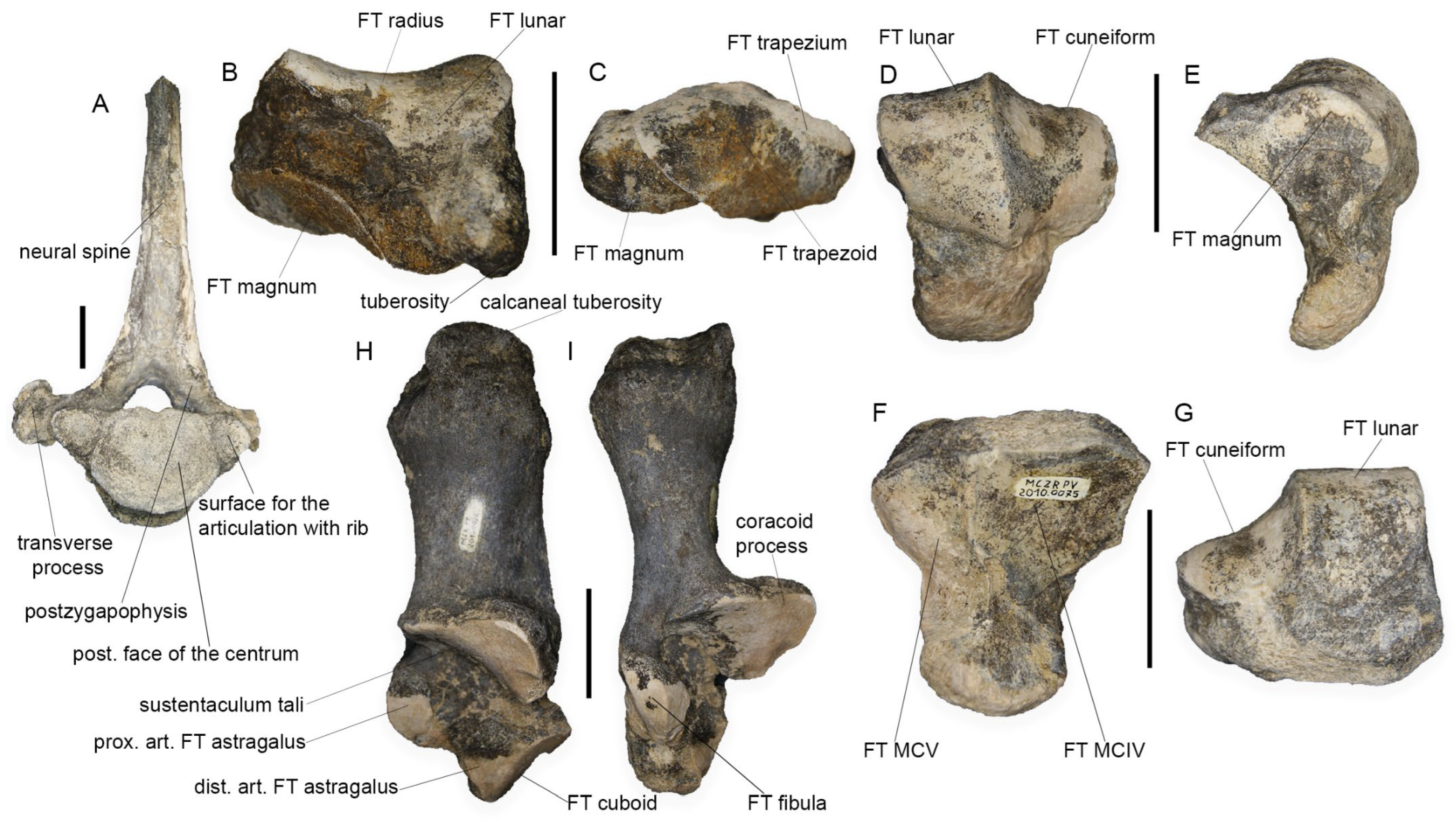Quaternary 07 00013 g004