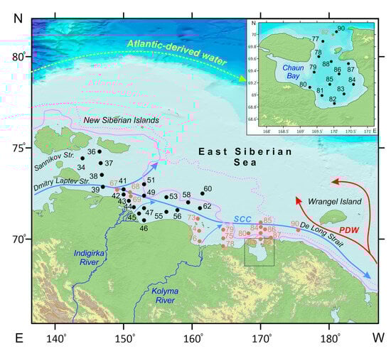 Quaternary 07 00016 g001