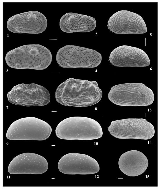Quaternary 07 00016 g0a1