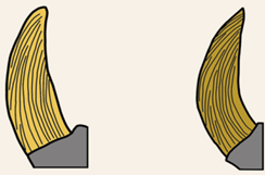 Quaternary 07 00020 i002