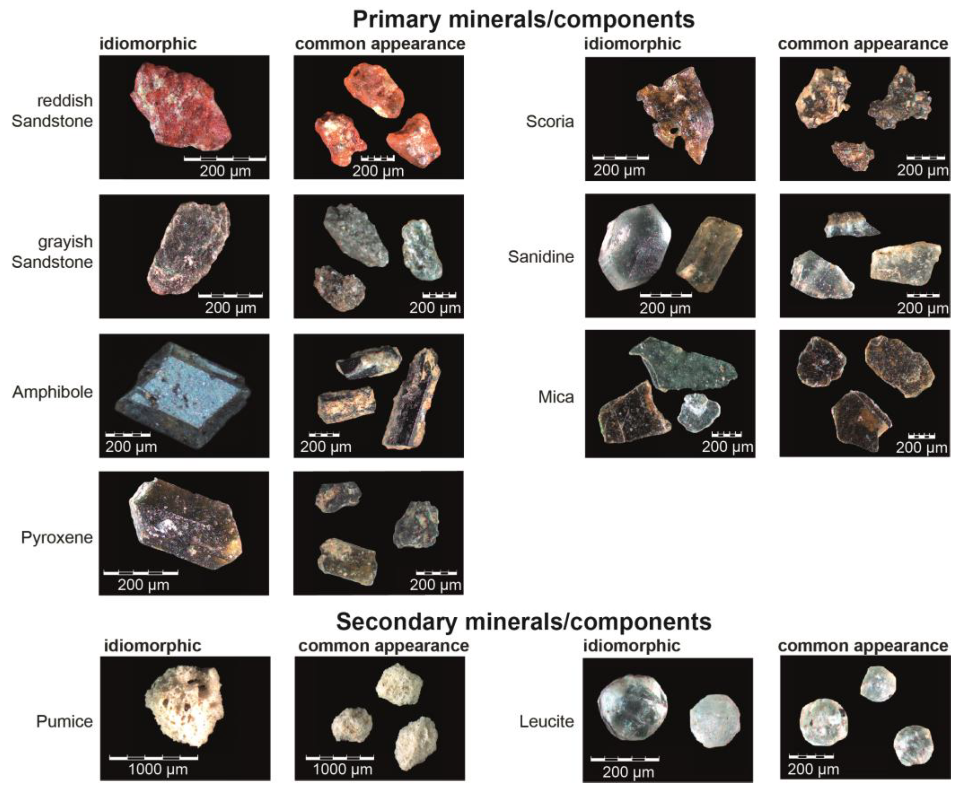 Quaternary 07 00021 g012