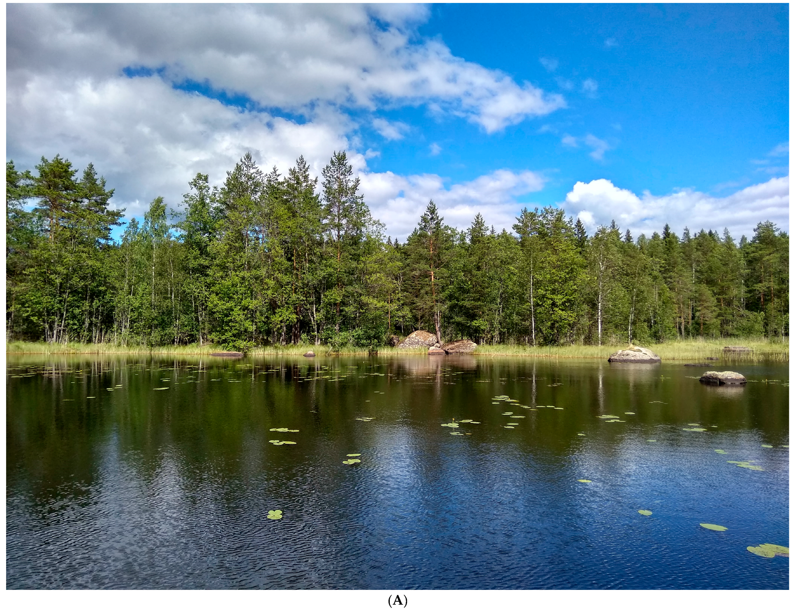 Quaternary 07 00031 g002a