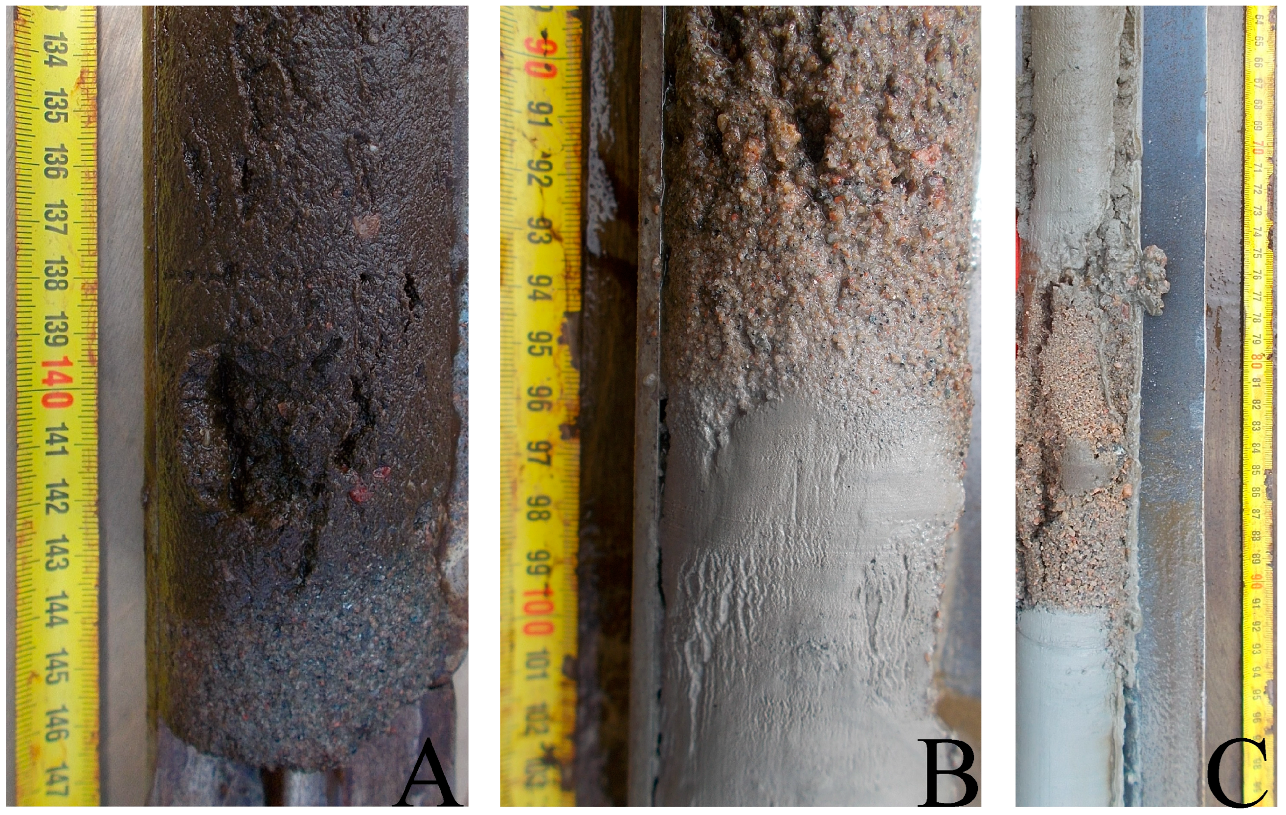 Quaternary 07 00031 g004