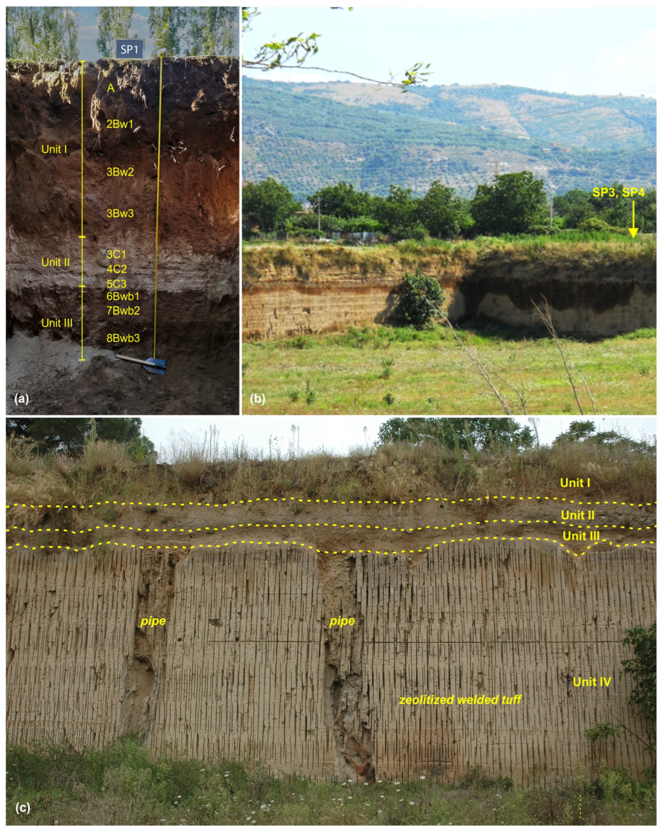 Quaternary 07 00039 g005