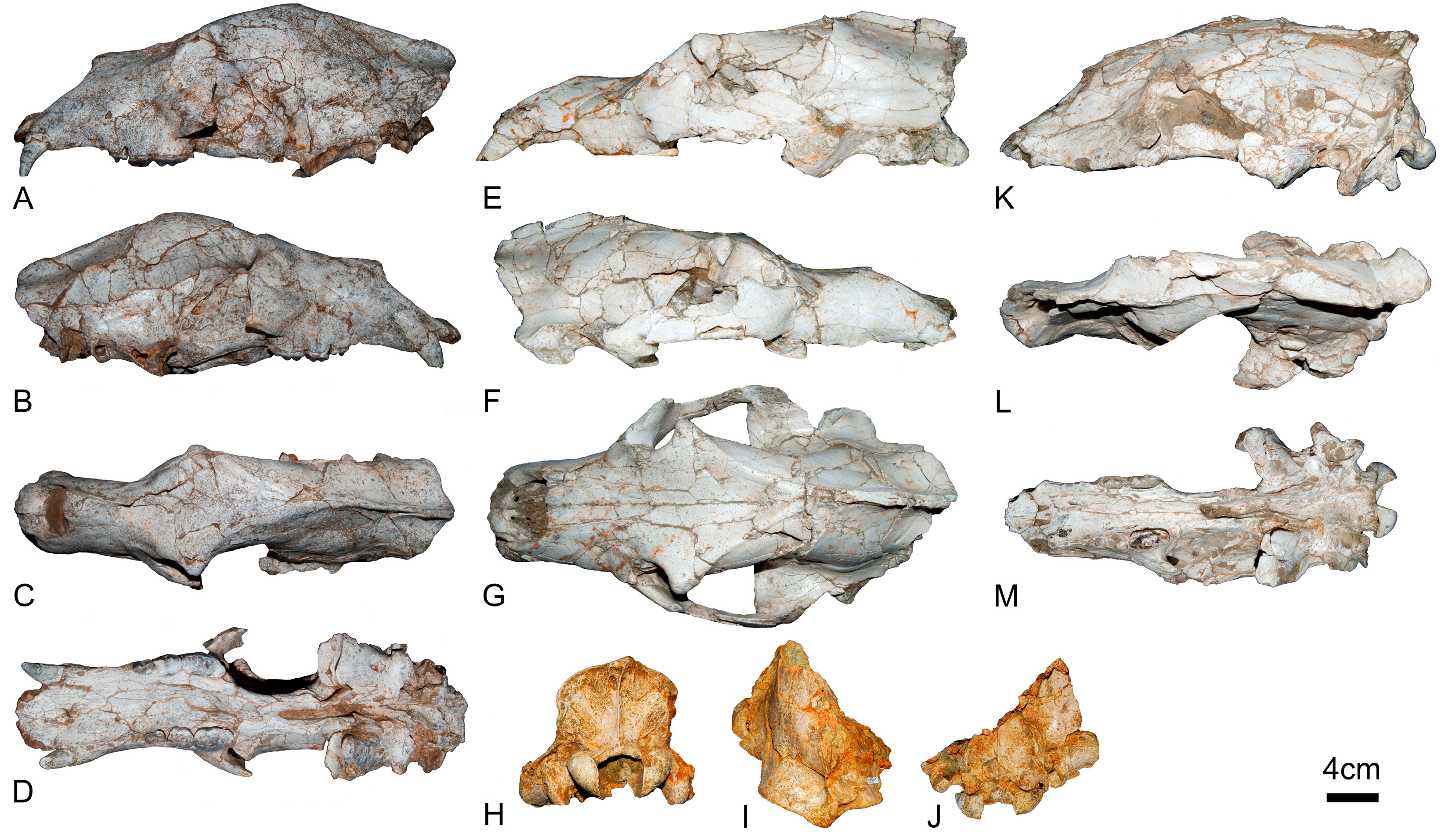 Quaternary 07 00040 g004