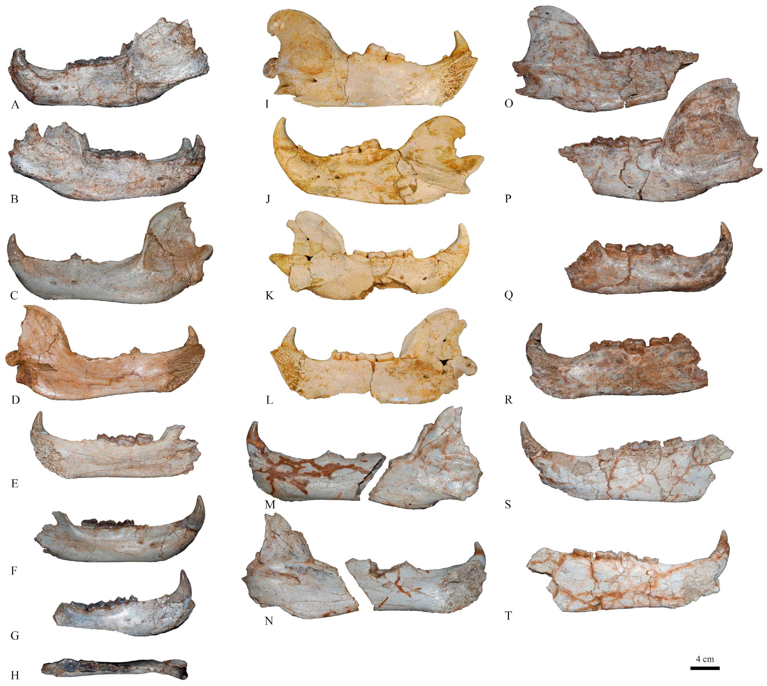 Quaternary 07 00040 g005