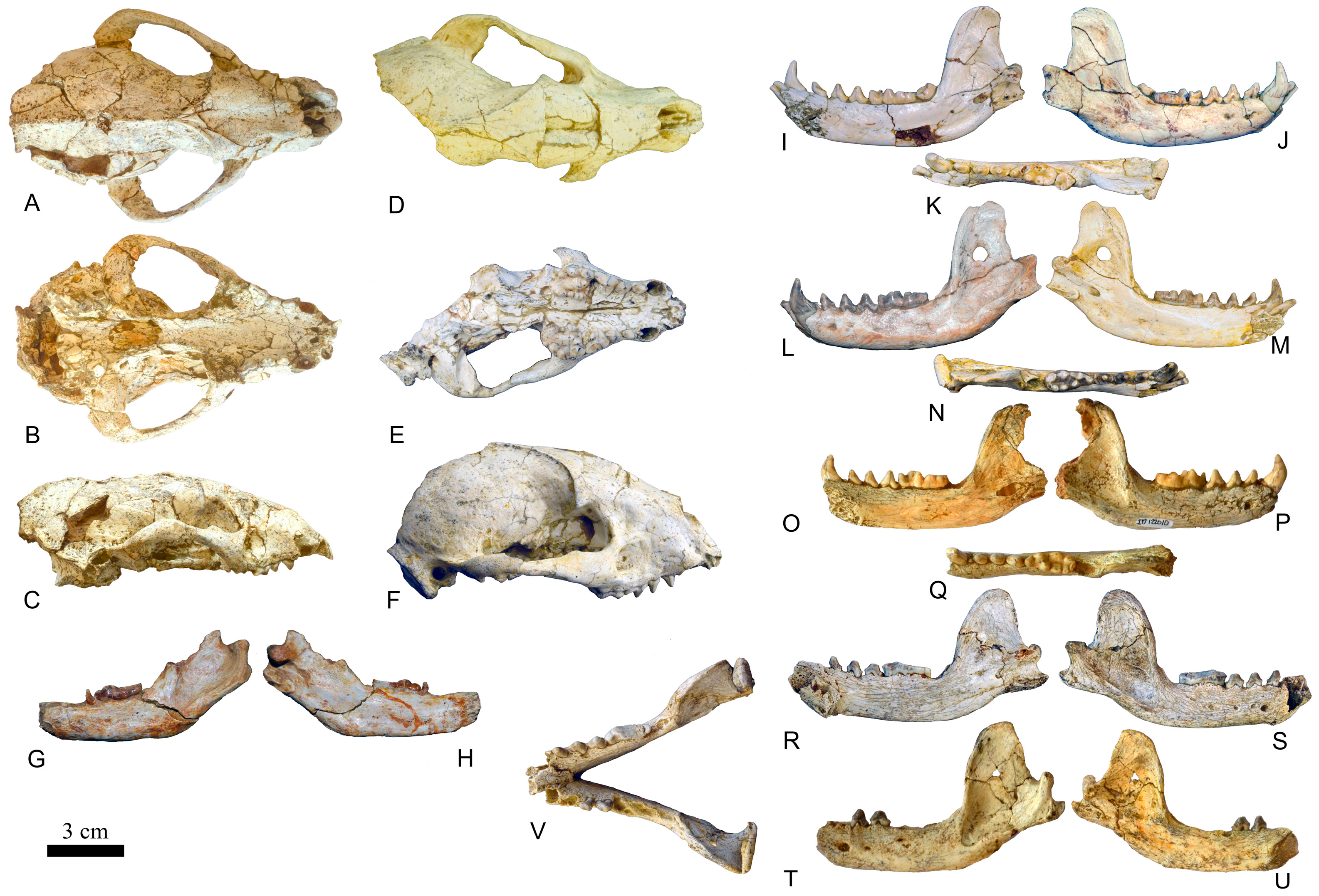 Quaternary 07 00040 g006