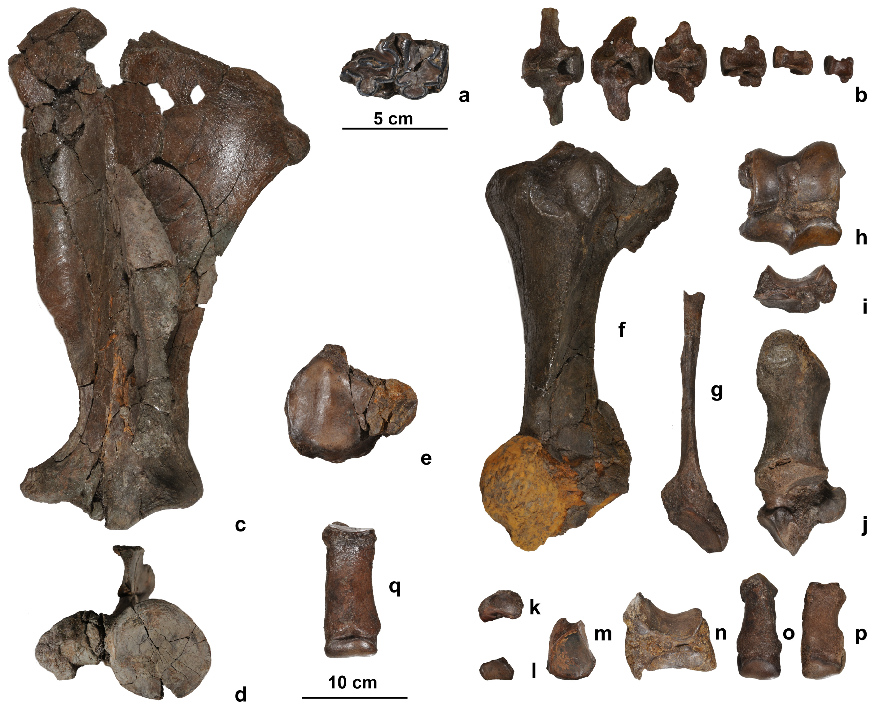 Quaternary 07 00041 g003