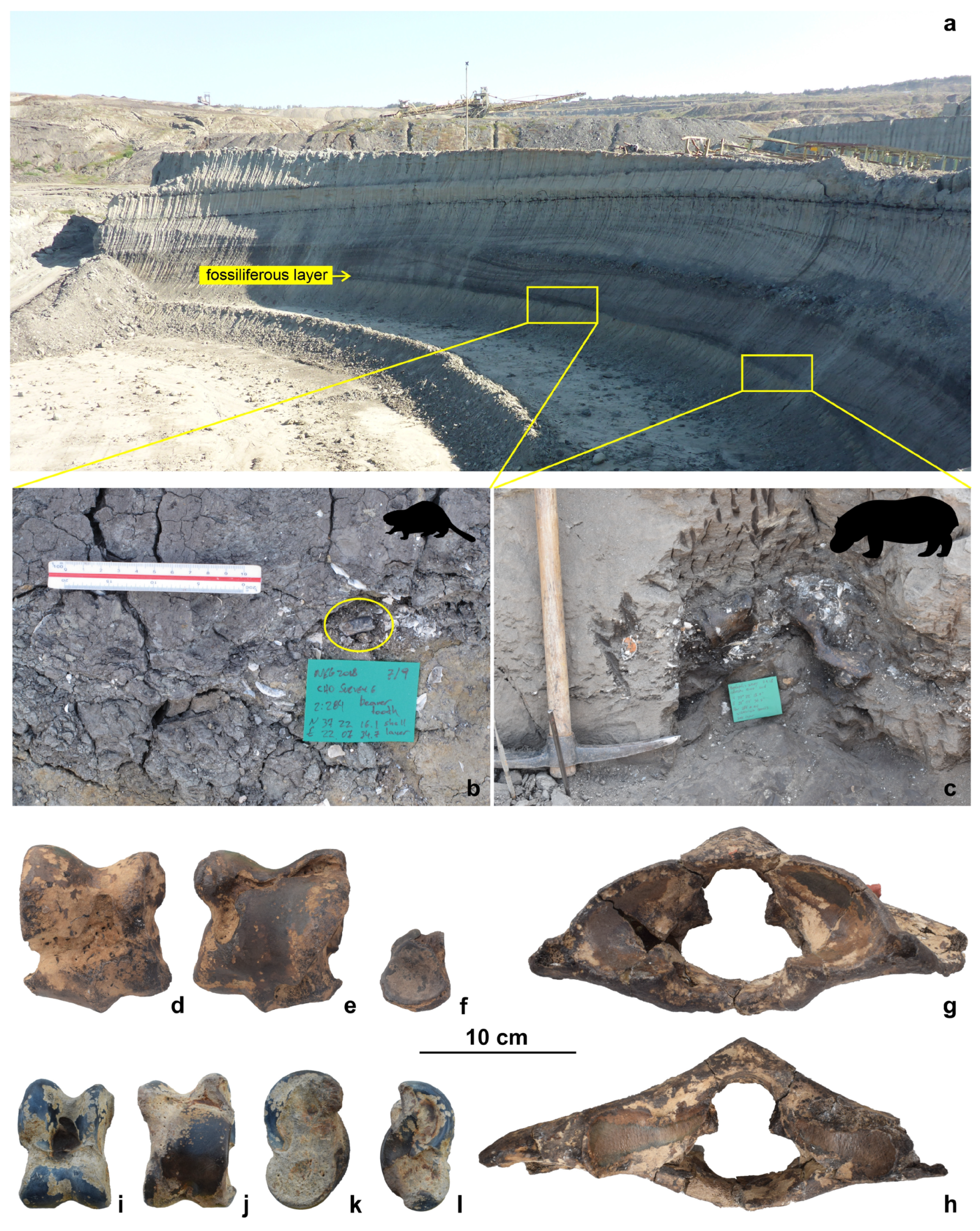Quaternary 07 00041 g006