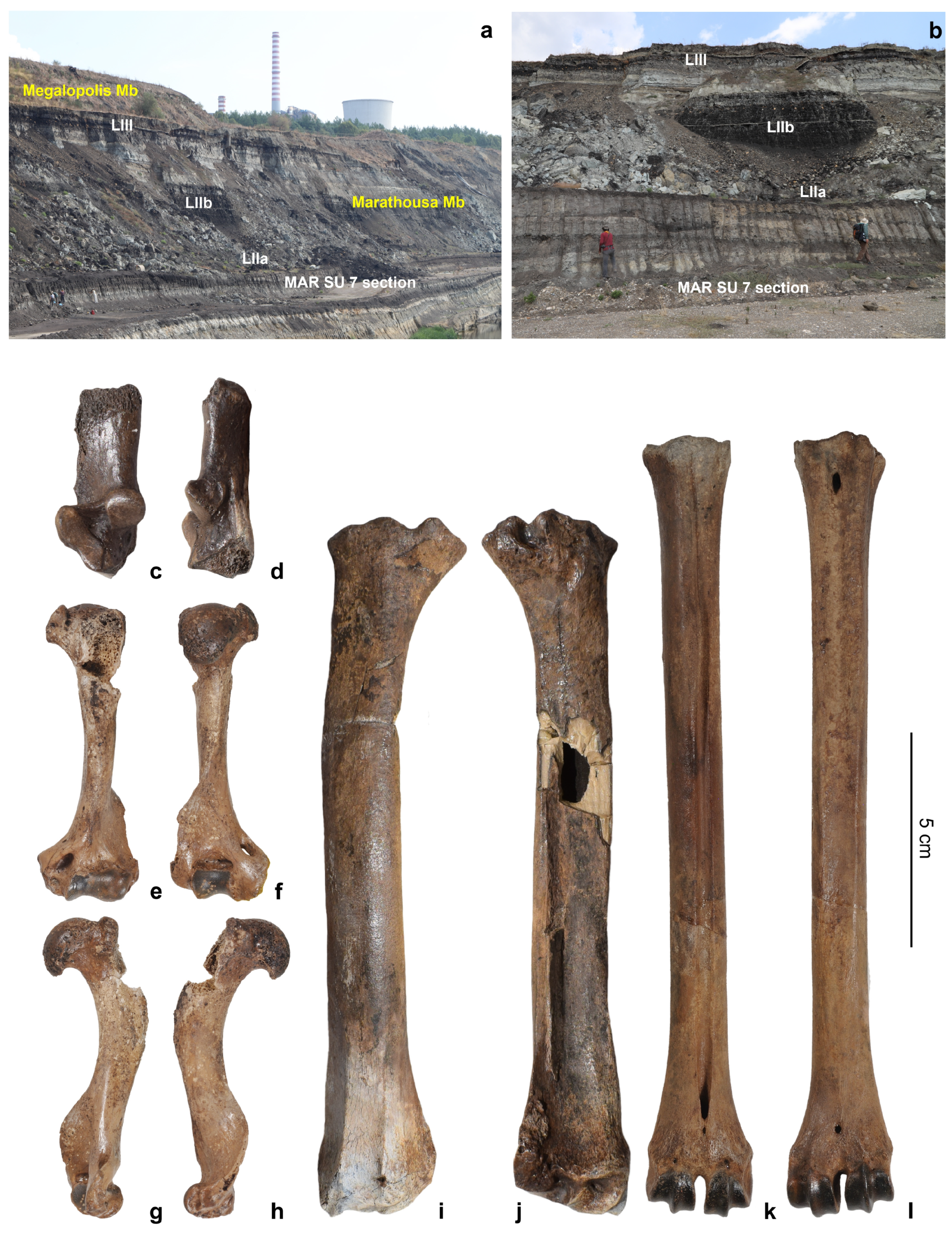 Quaternary 07 00041 g007