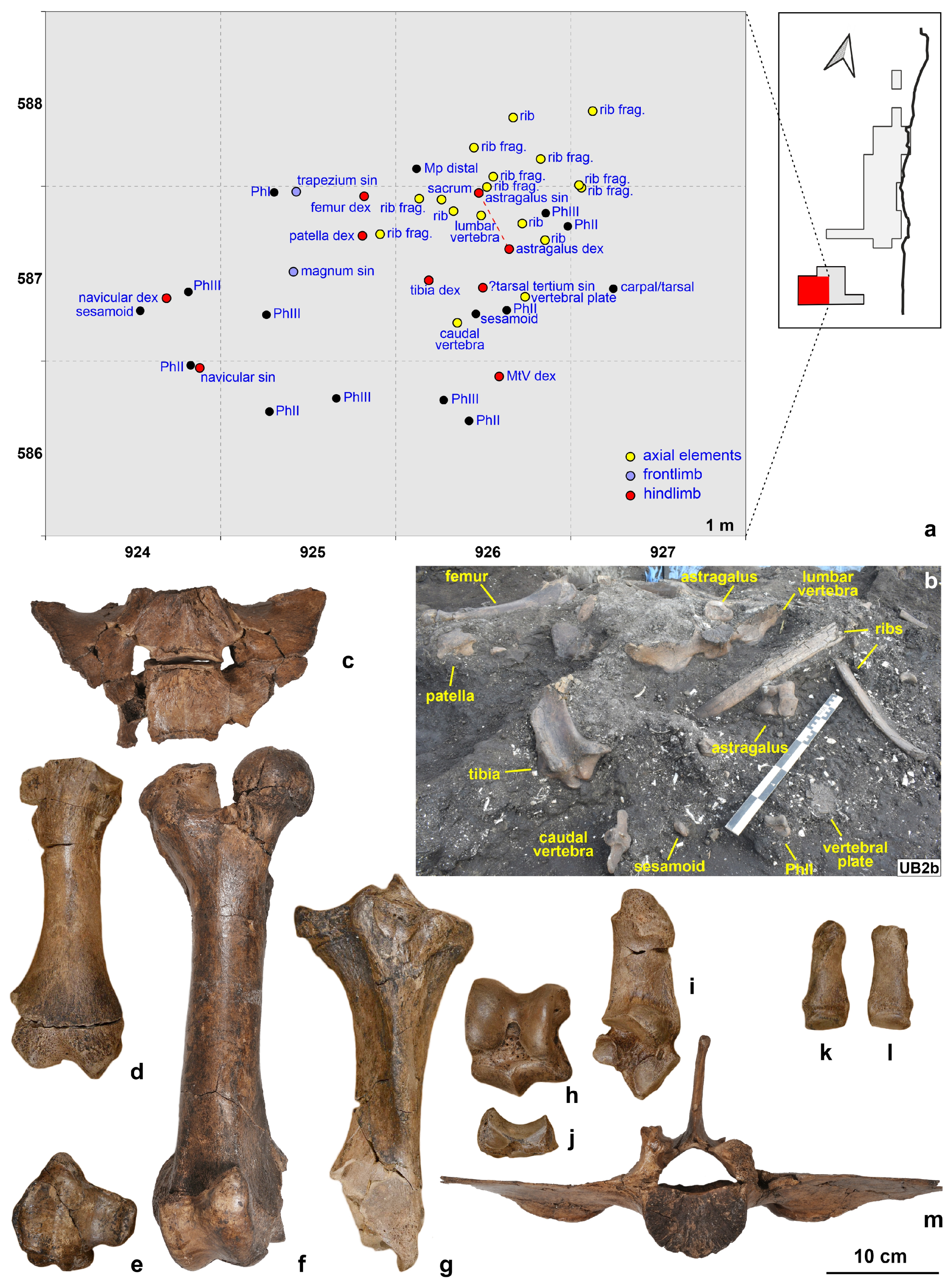 Quaternary 07 00041 g008