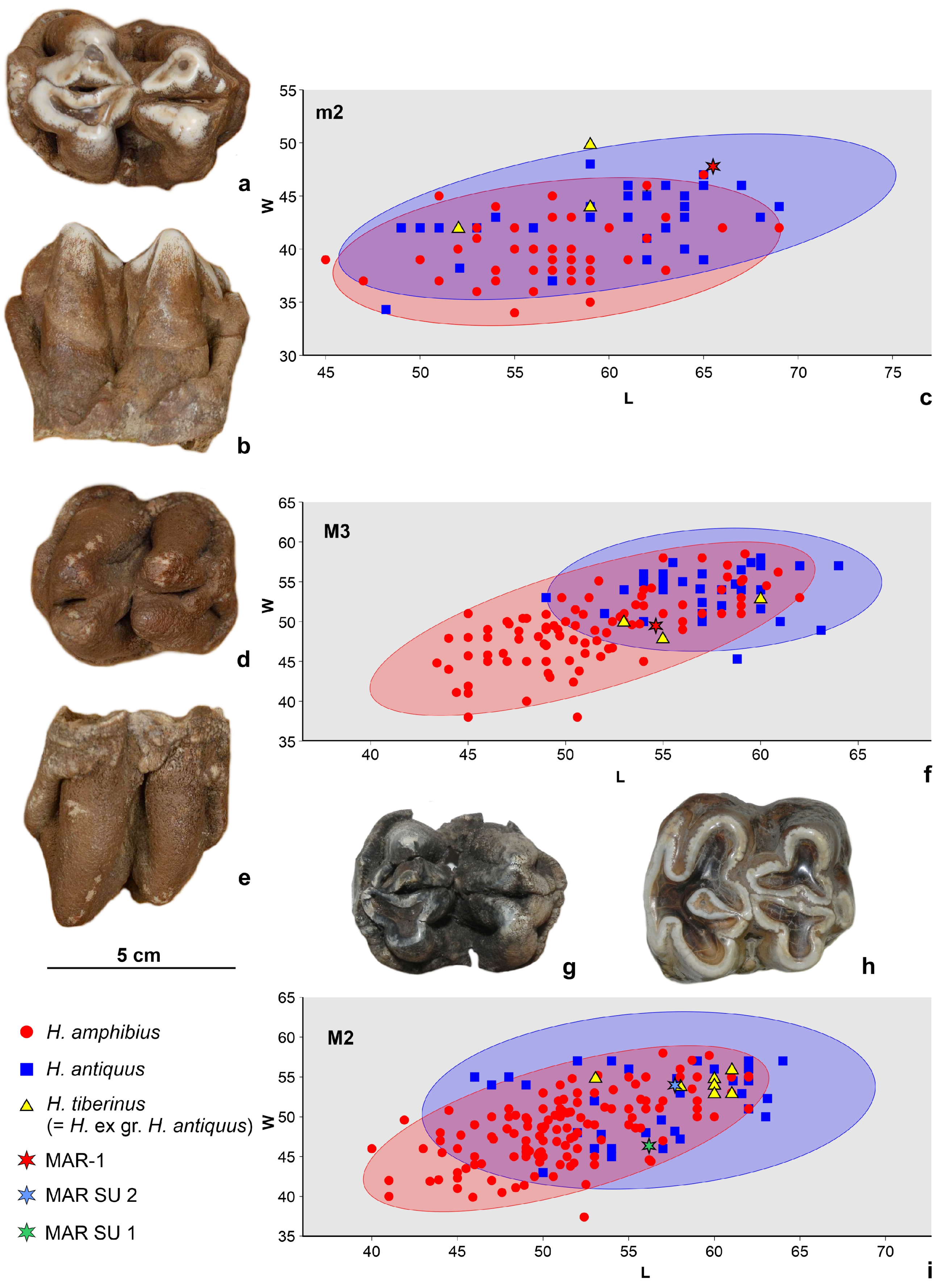 Quaternary 07 00041 g009