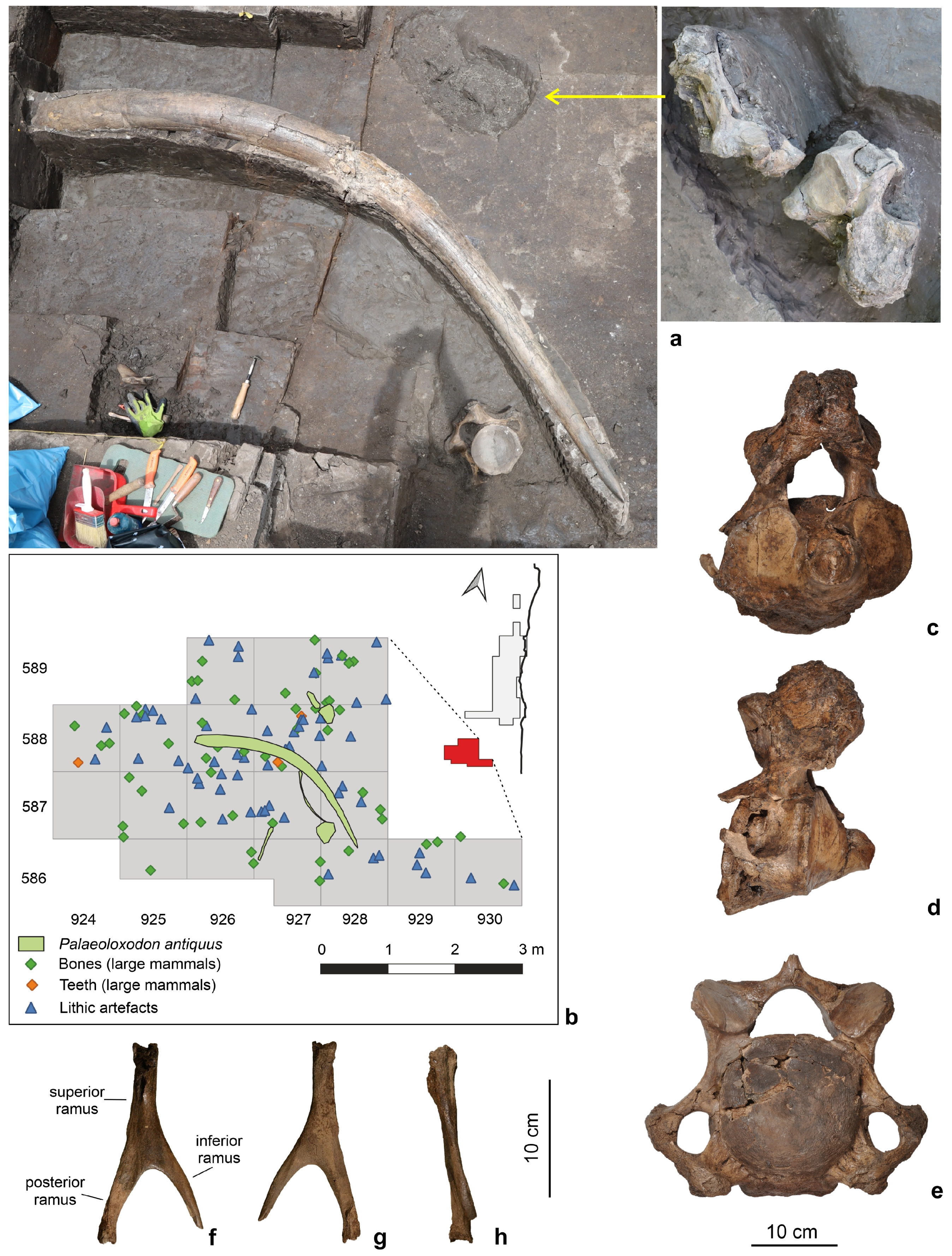 Quaternary 07 00041 g010
