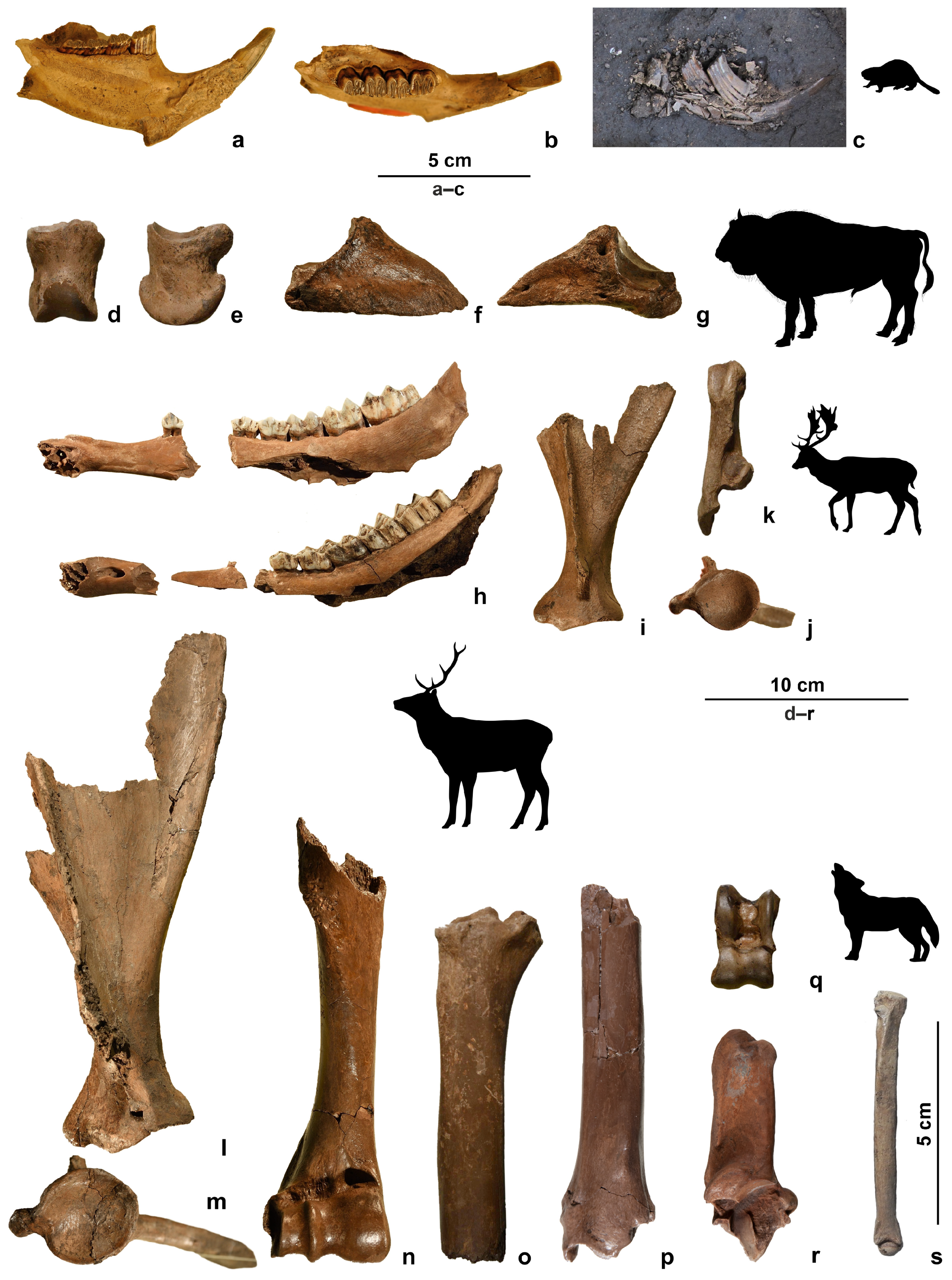 Quaternary 07 00041 g011