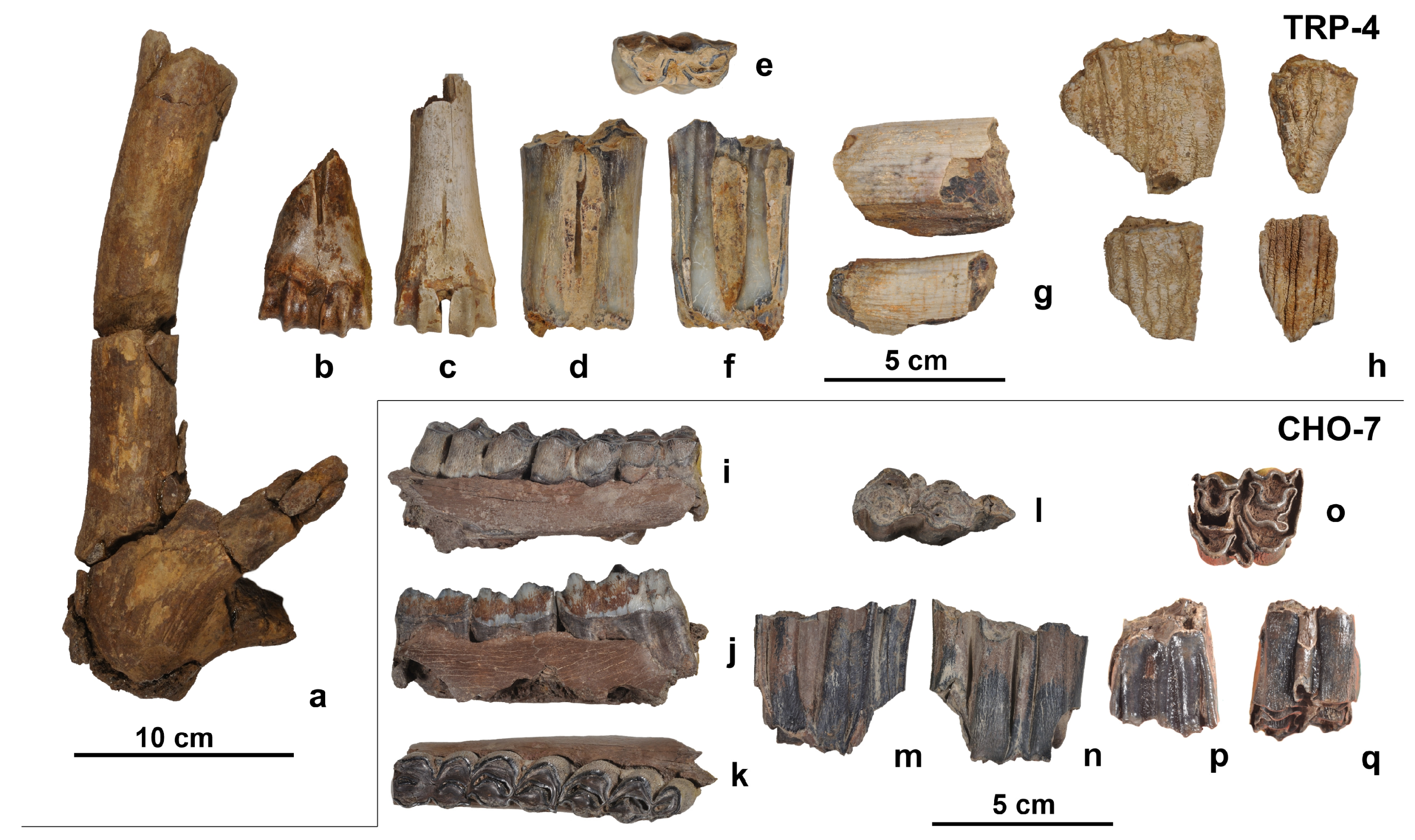 Quaternary 07 00041 g012