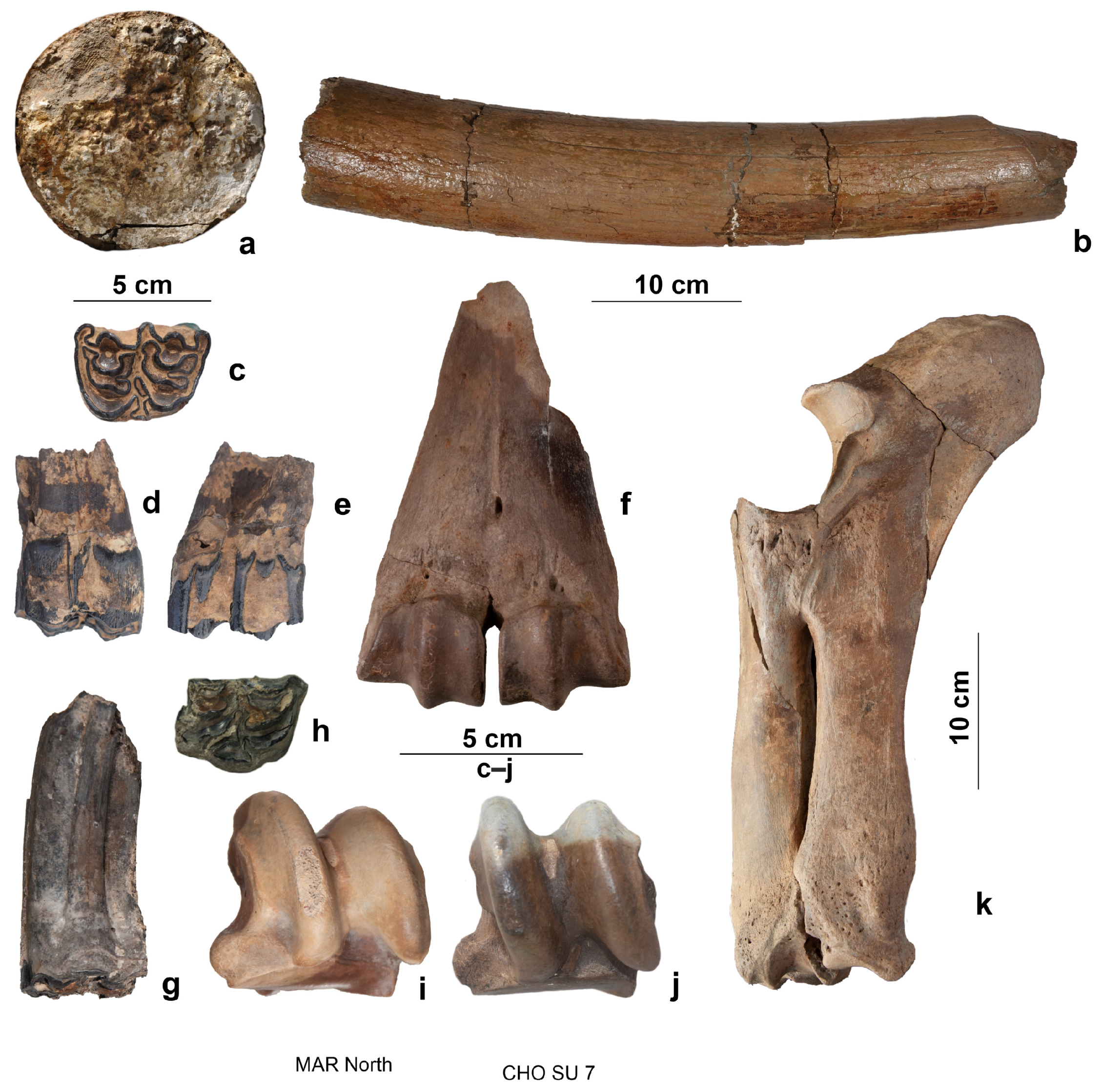 Quaternary 07 00041 g013