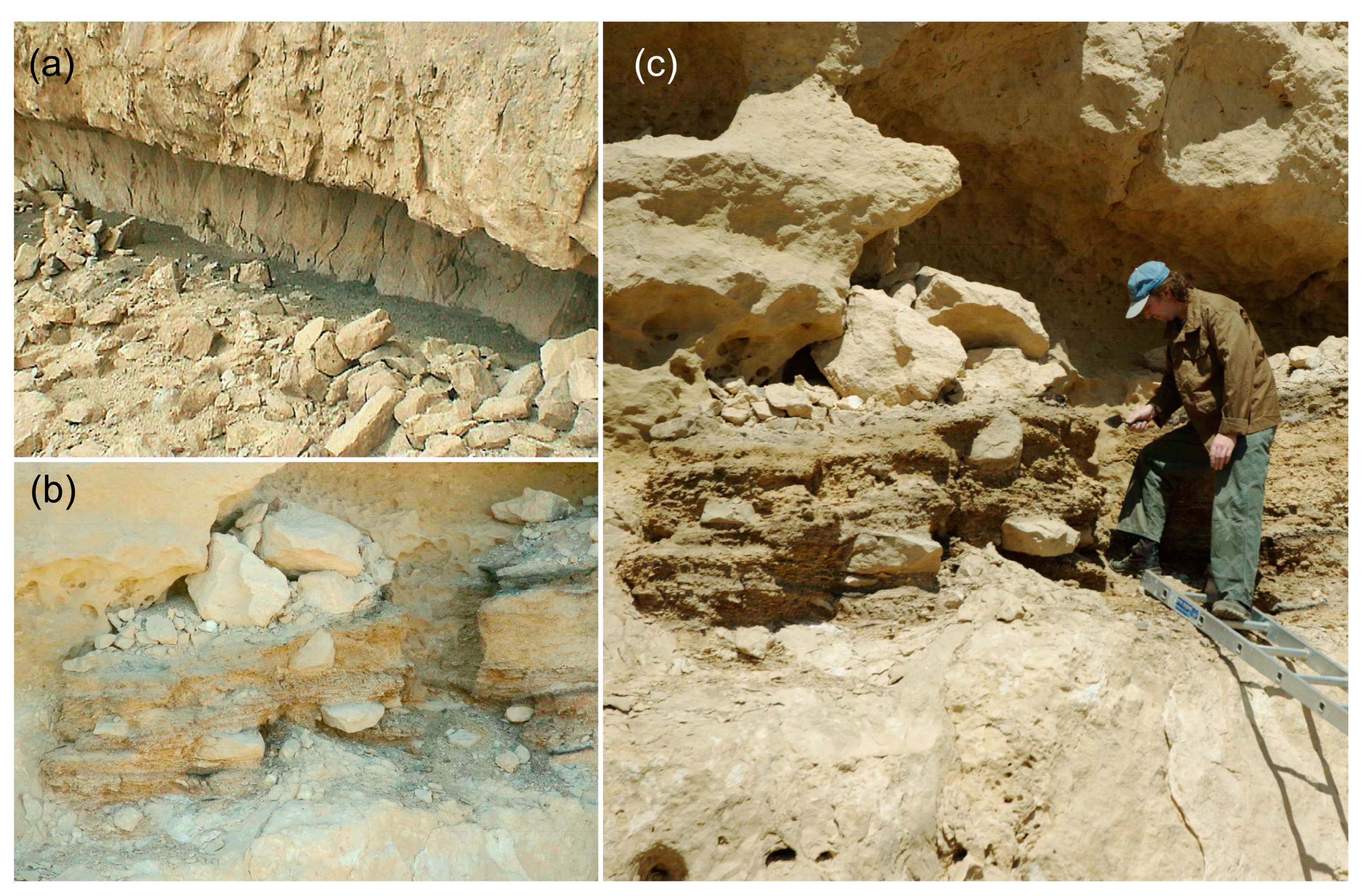 Quaternary 07 00045 g002