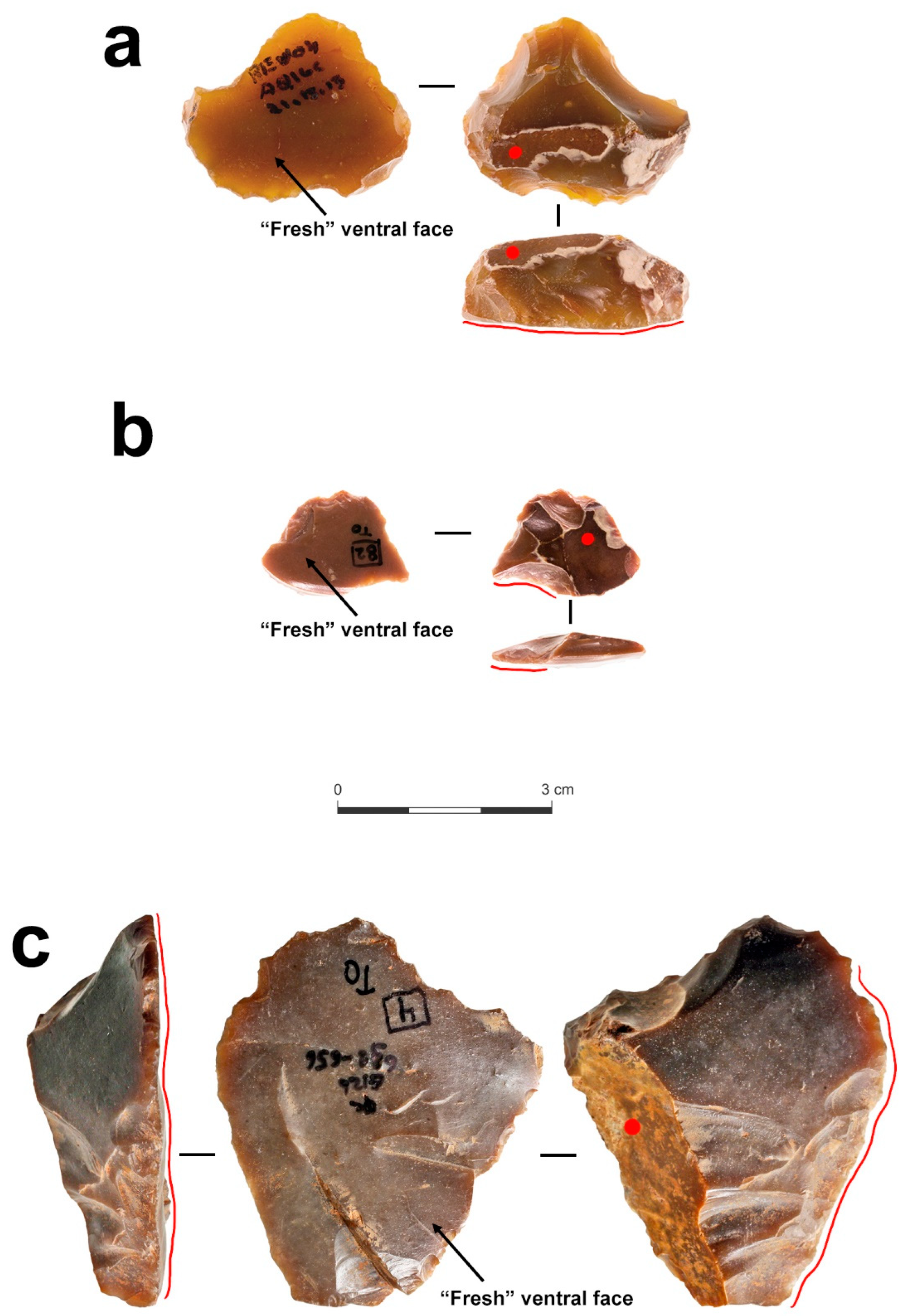 Quaternary 07 00058 g008