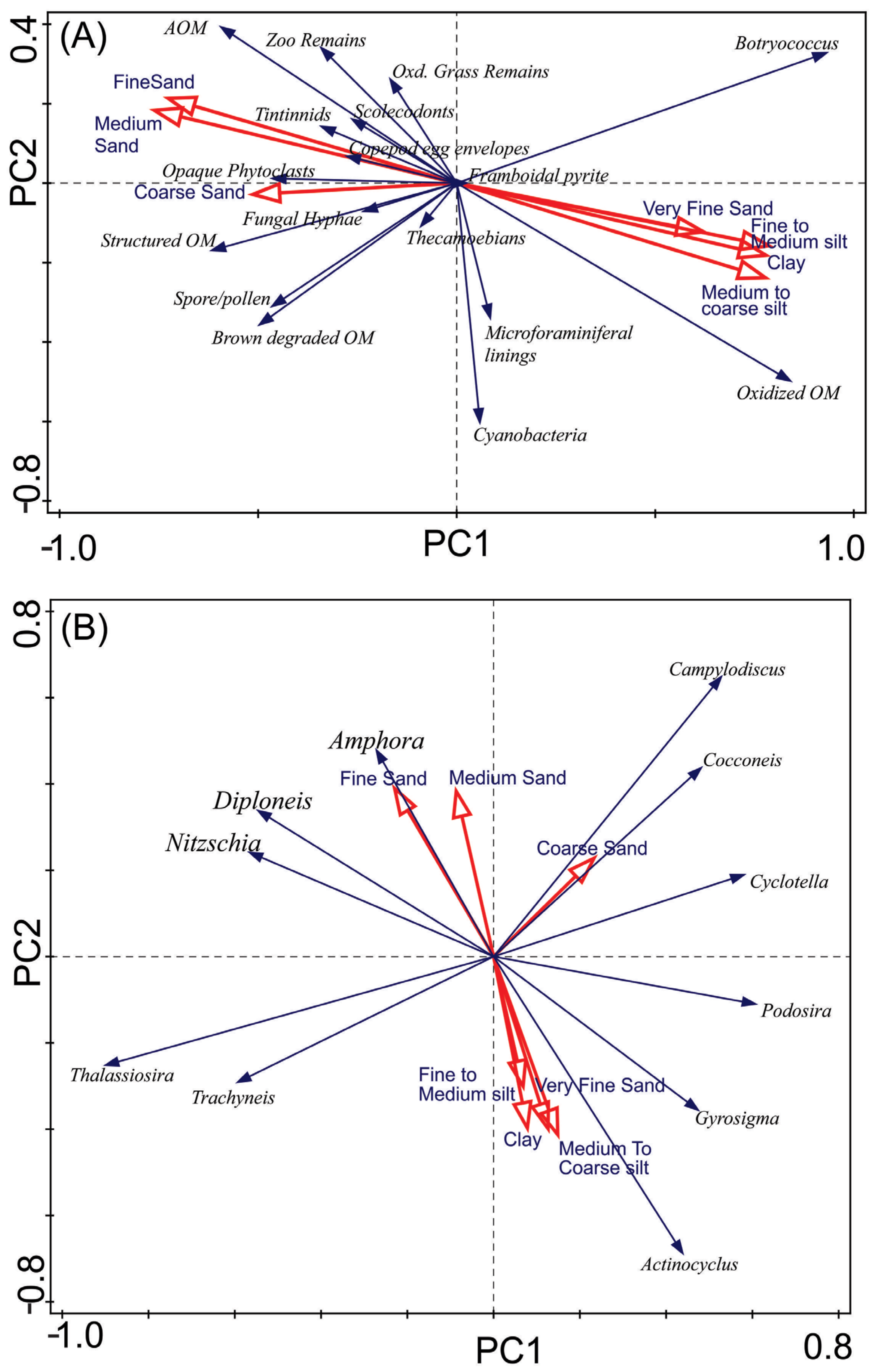 Quaternary 08 00003 g009