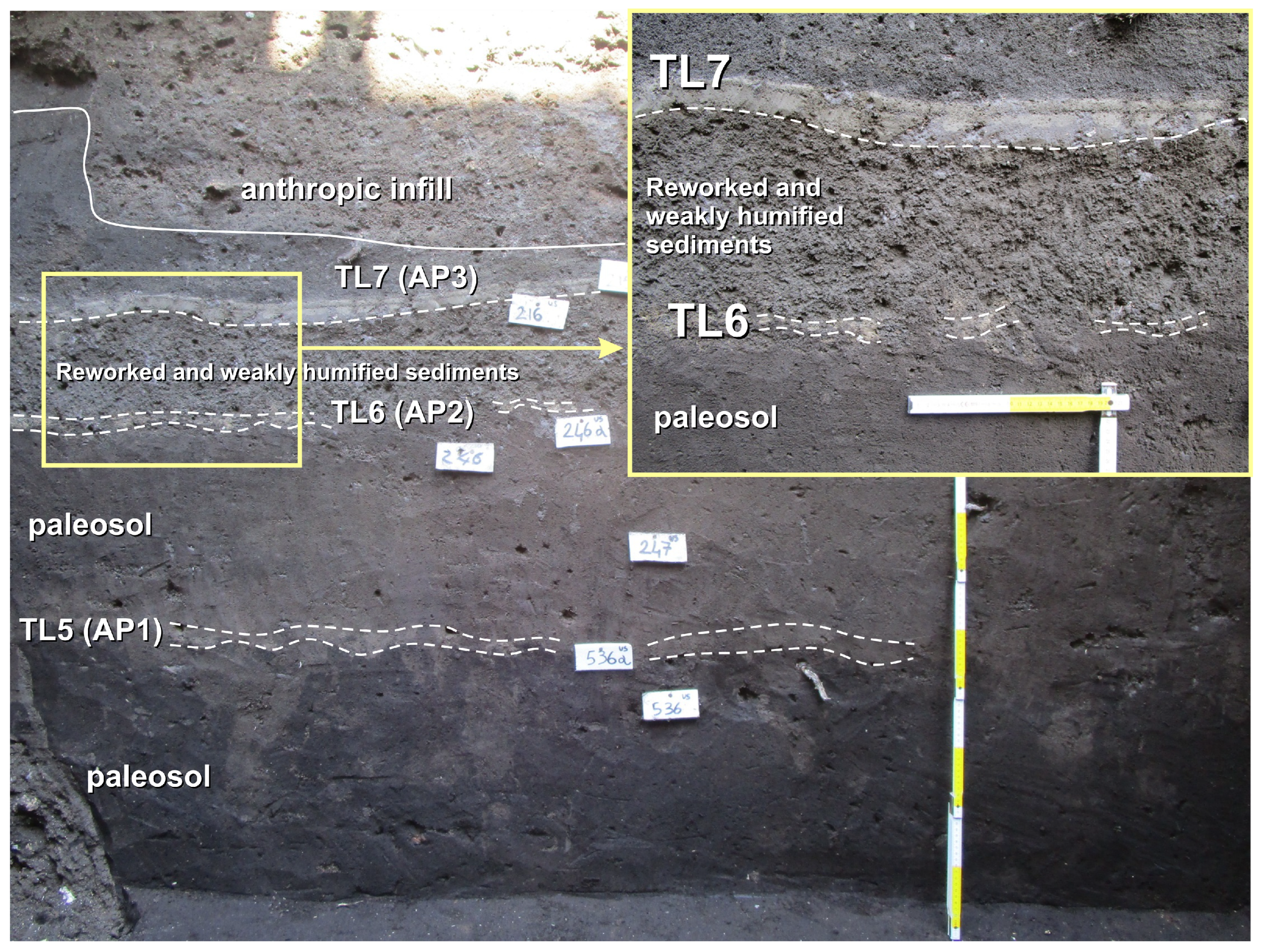 Quaternary 08 00004 g008
