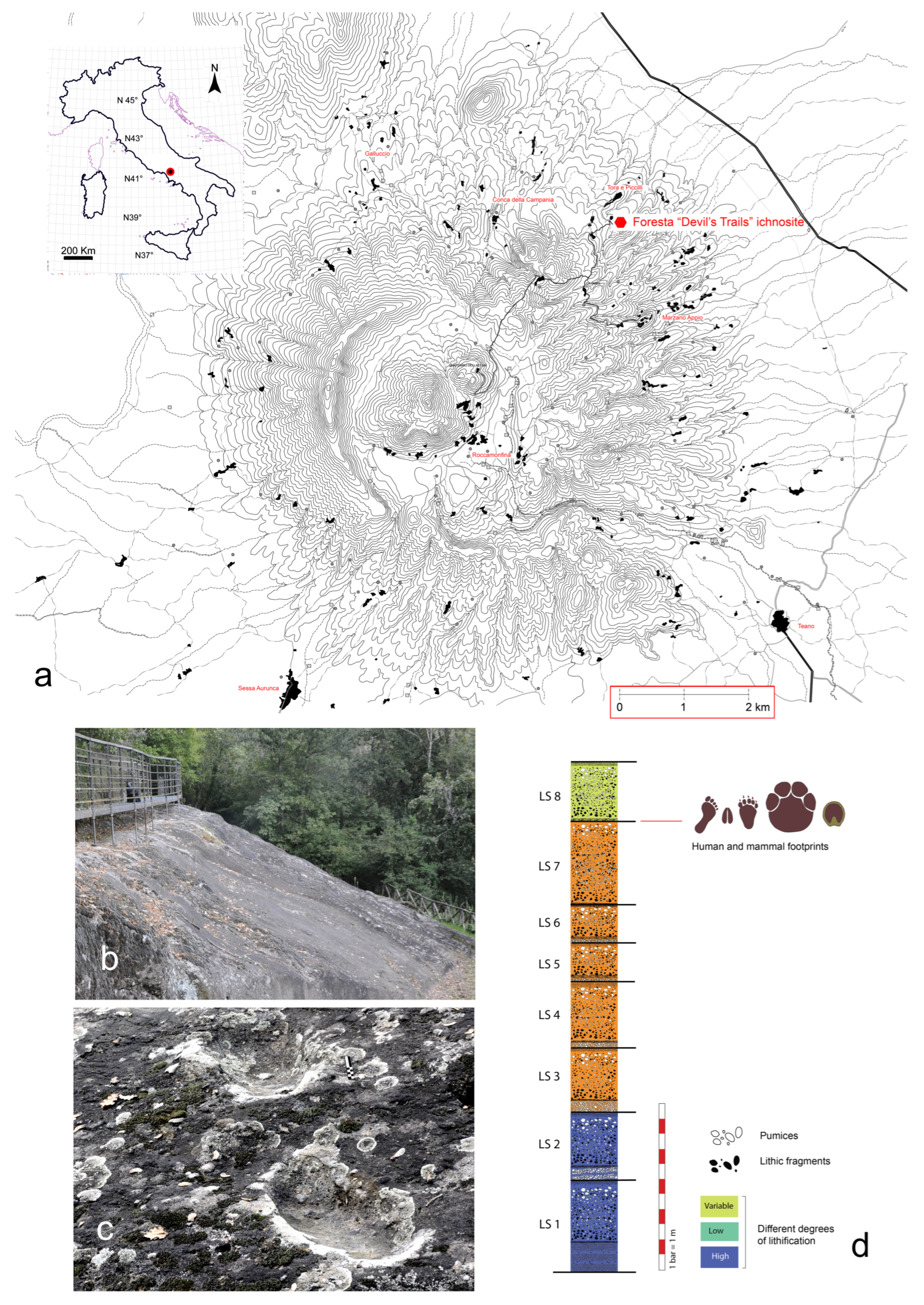 Quaternary 08 00005 g001